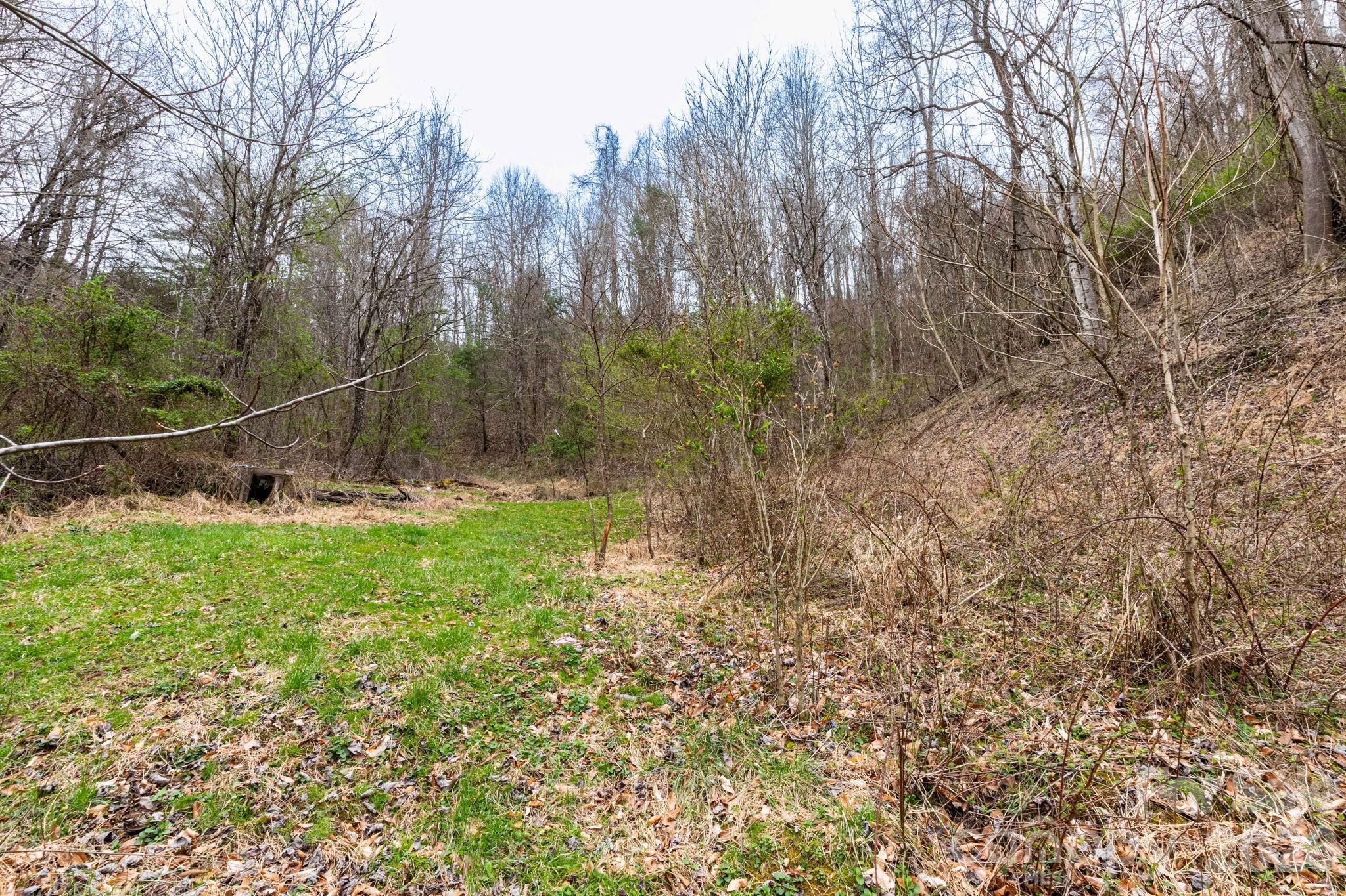 294 Ball Drive Property Photo 24