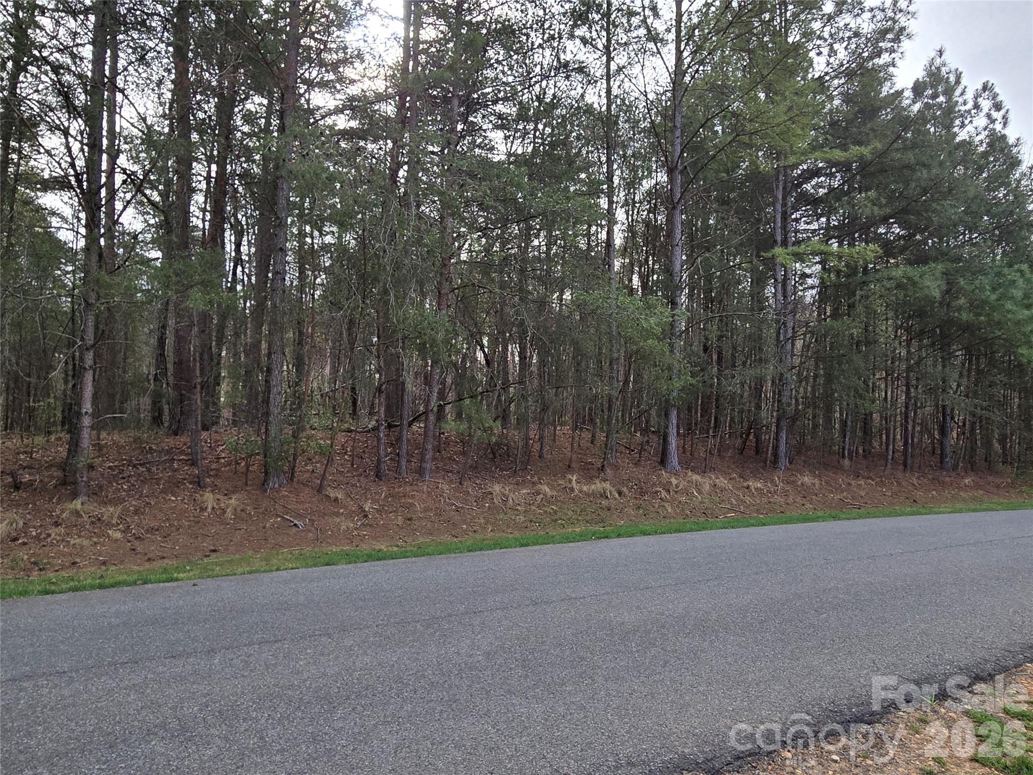 0 Whisper Lake Drive 121 Property Photo 6