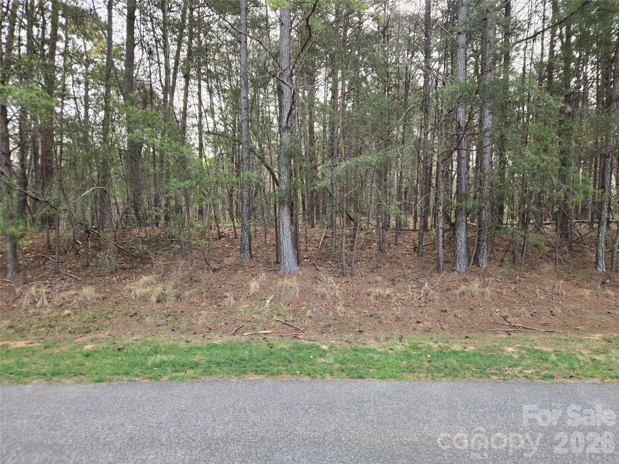 0 Whisper Lake Drive 121 Property Photo 12