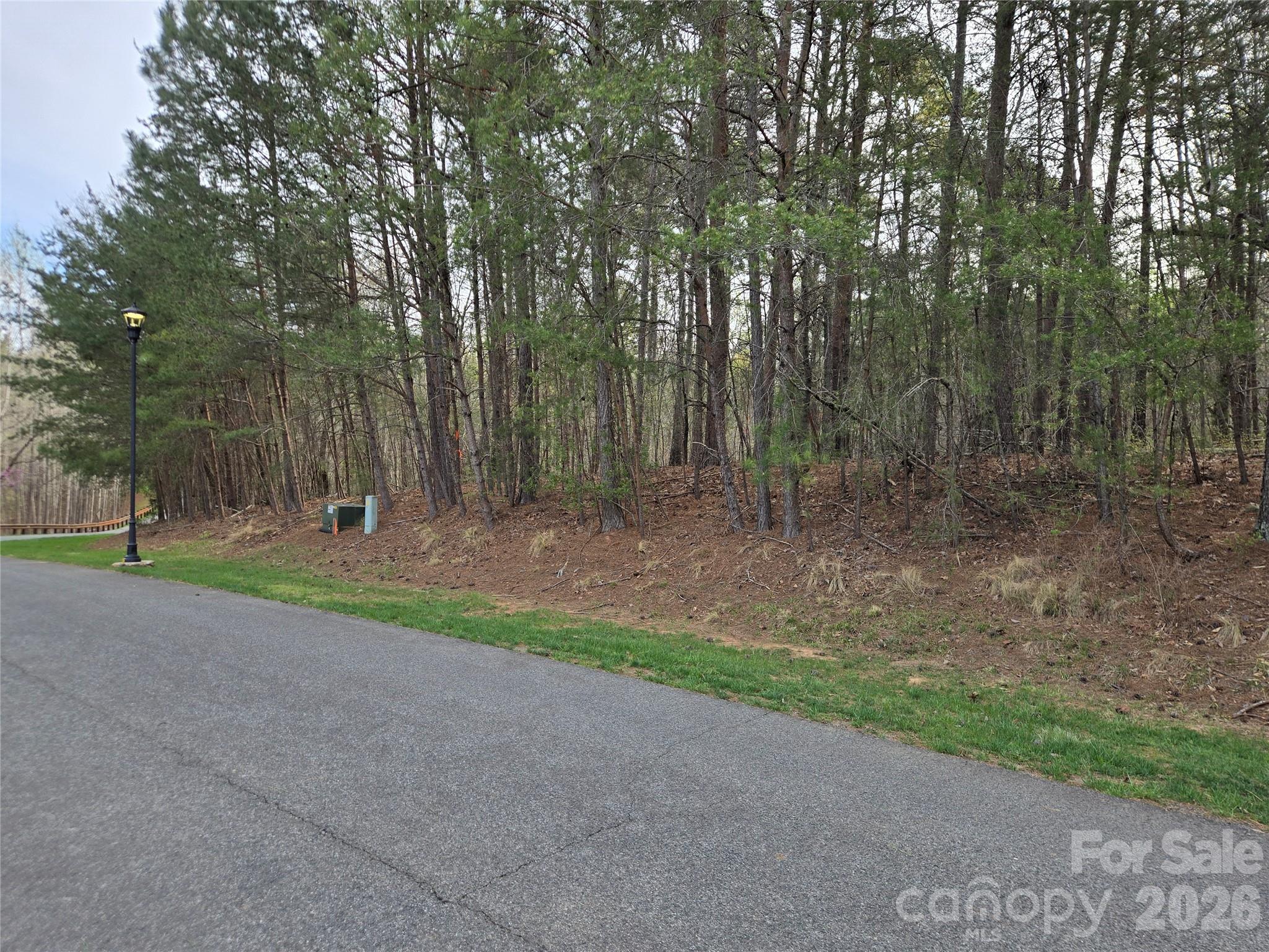 0 Whisper Lake Drive 121 Property Photo 13