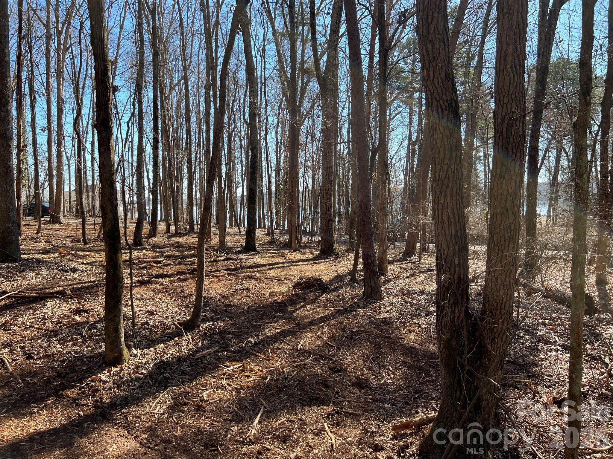 3883 Marlette Drive Property Photo 7