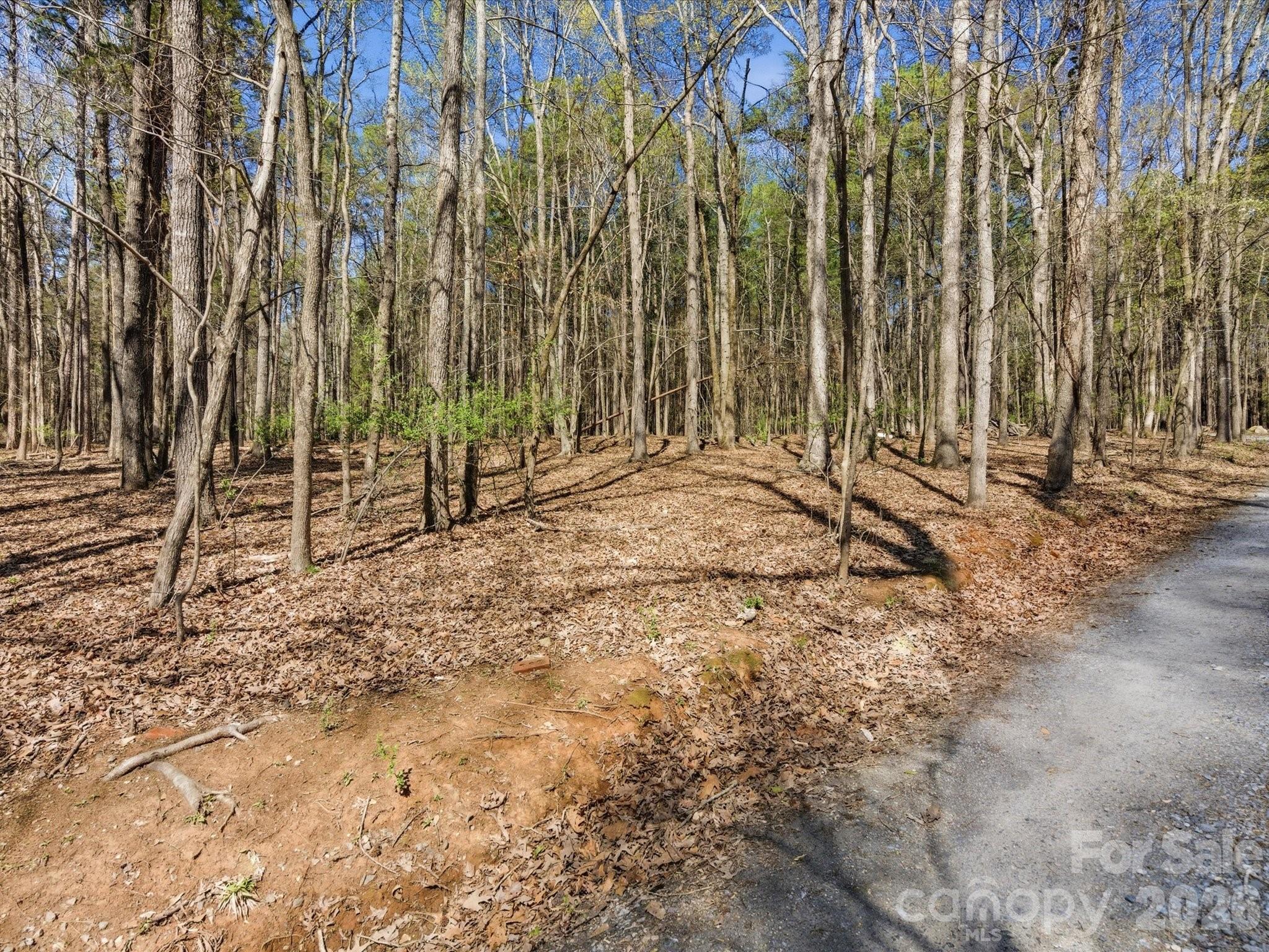 3883 Marlette Drive Property Photo 40