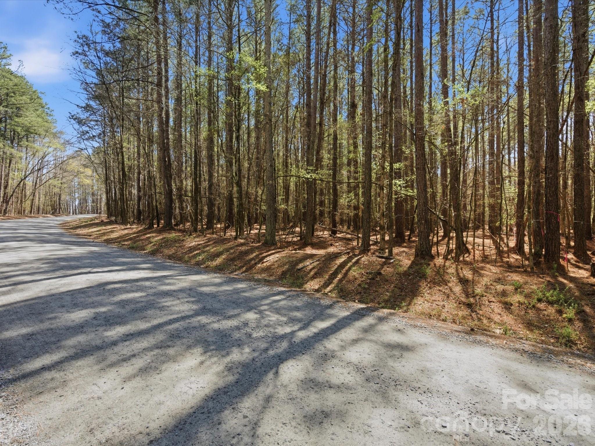 3883 Marlette Drive Property Photo 43