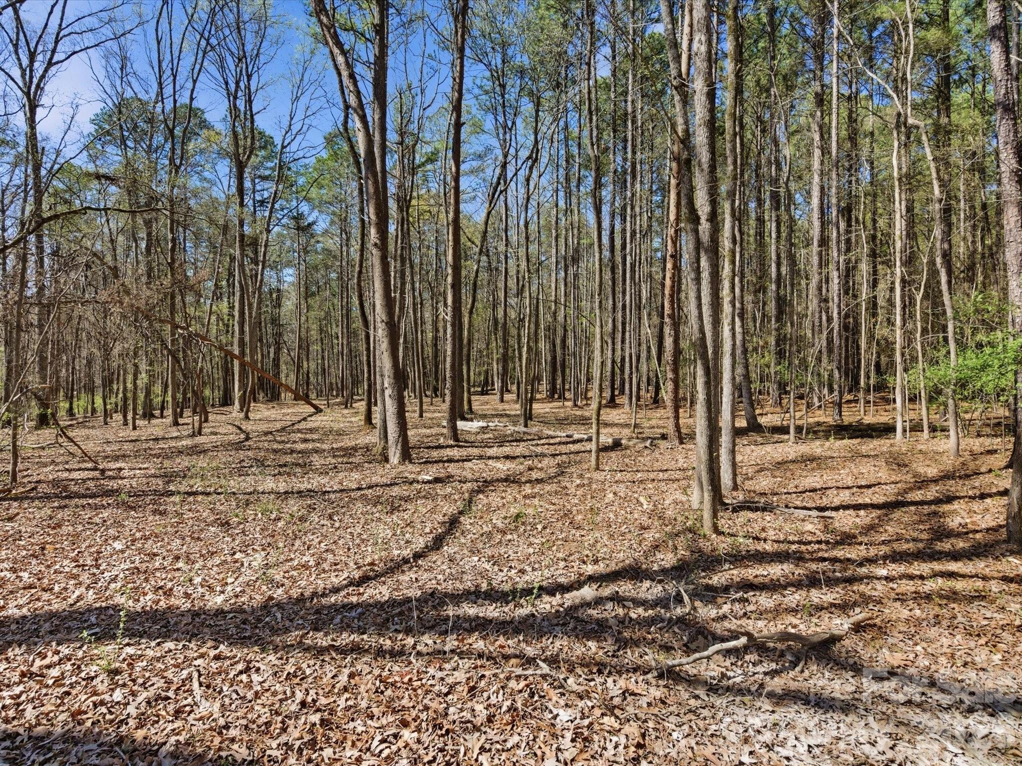 3883 Marlette Drive Property Photo 48