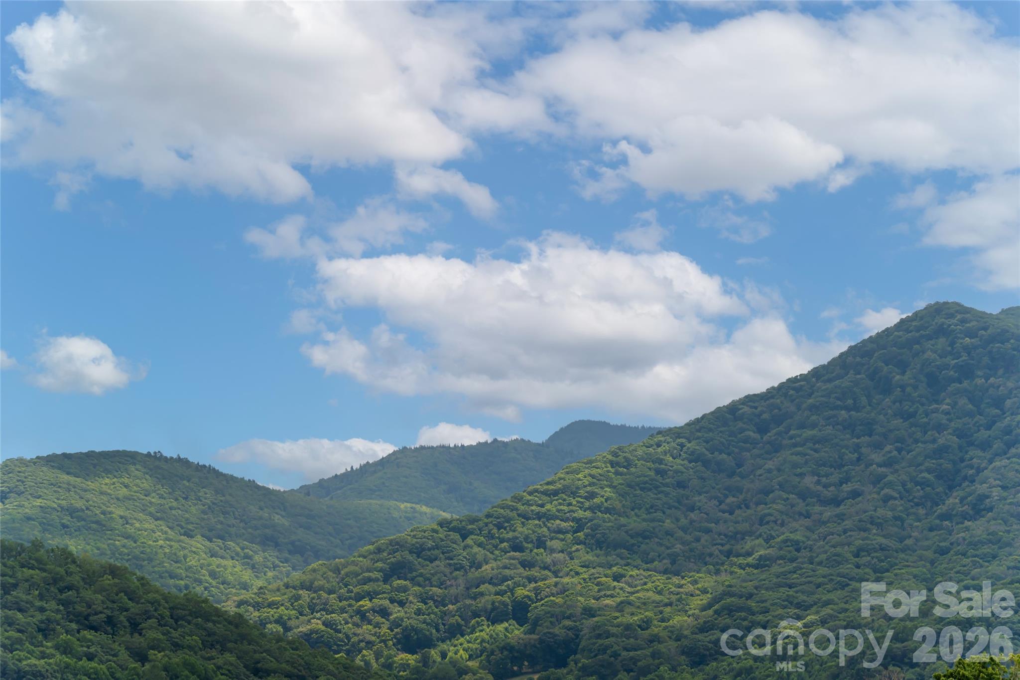 649 Panoramic Loop Property Photo 3