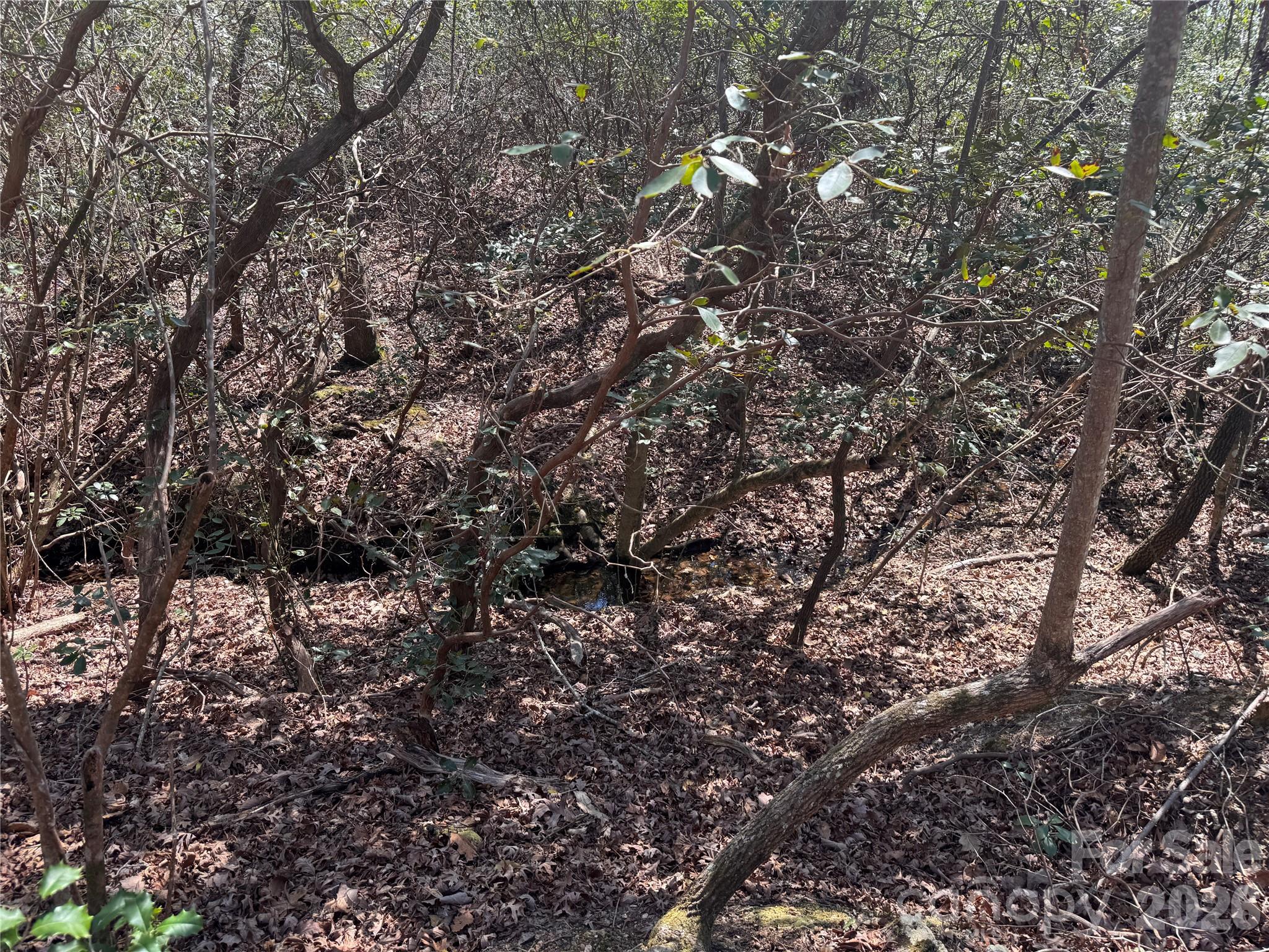 335 Woodrow Hoyle Road Property Photo 9