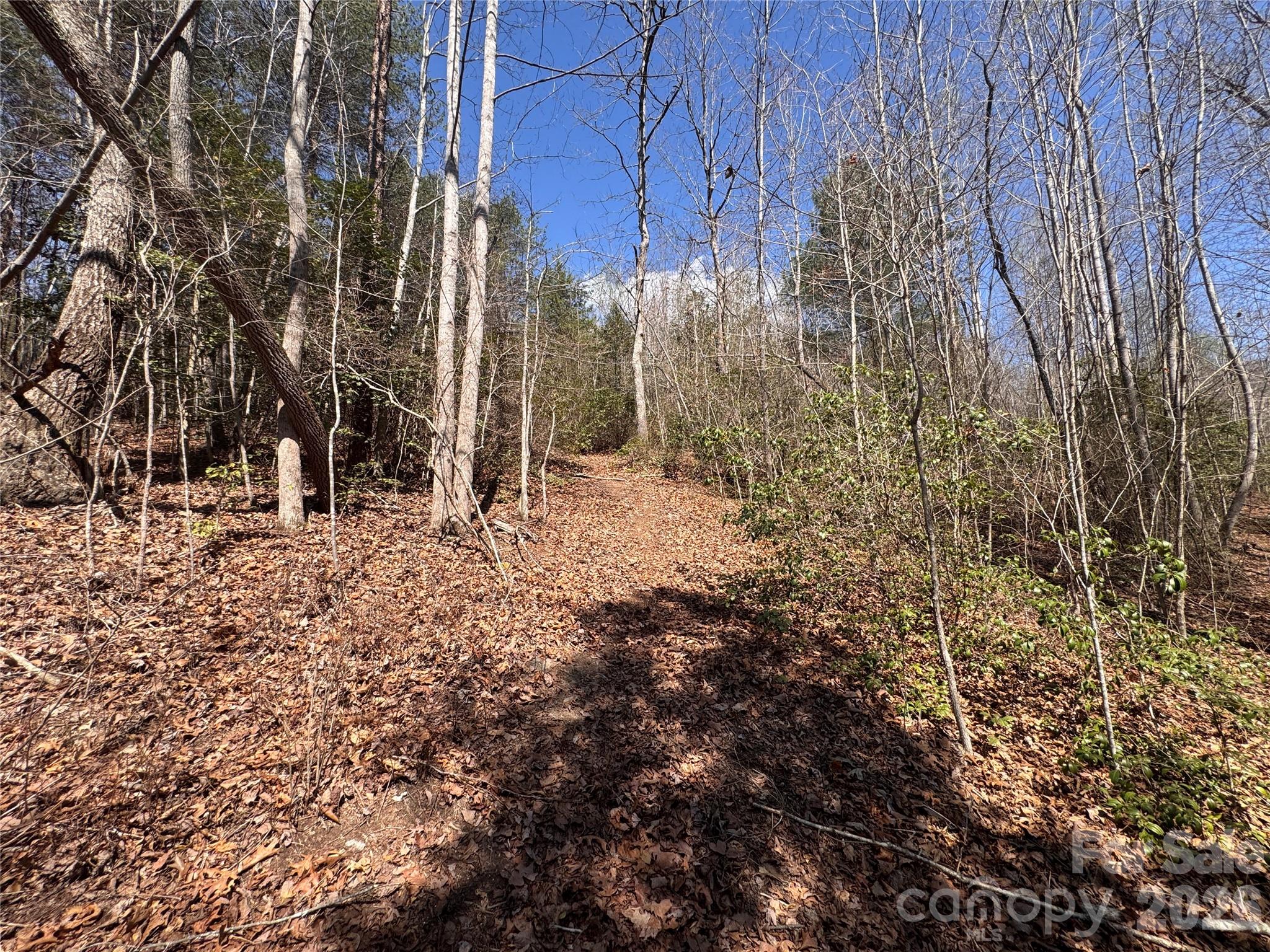 335 Woodrow Hoyle Road Property Photo 11