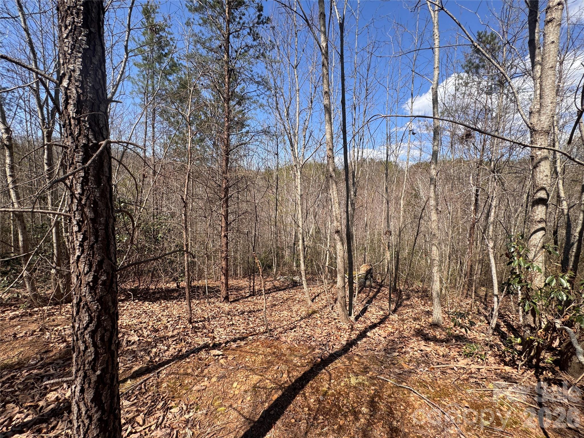 335 Woodrow Hoyle Road Property Photo 17