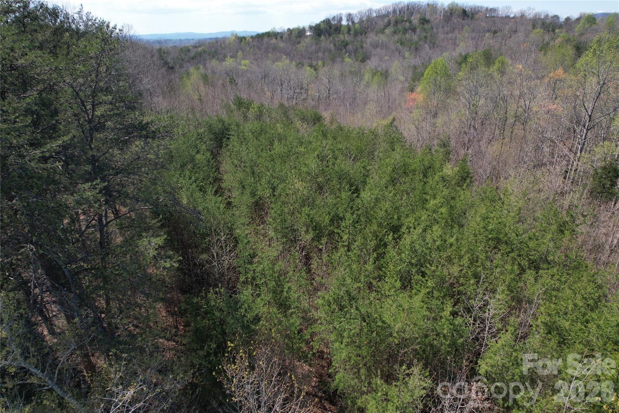 335 Woodrow Hoyle Road Property Photo 25