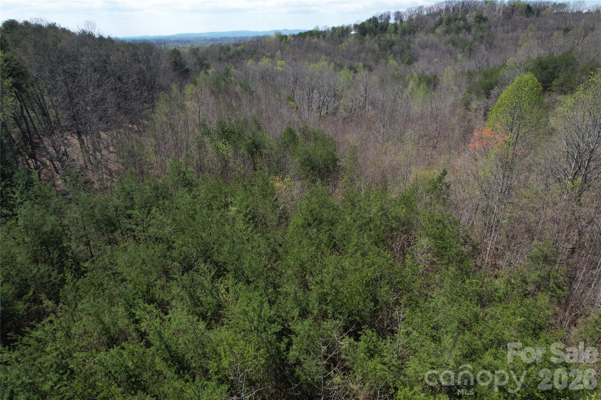 335 Woodrow Hoyle Road Property Photo 26