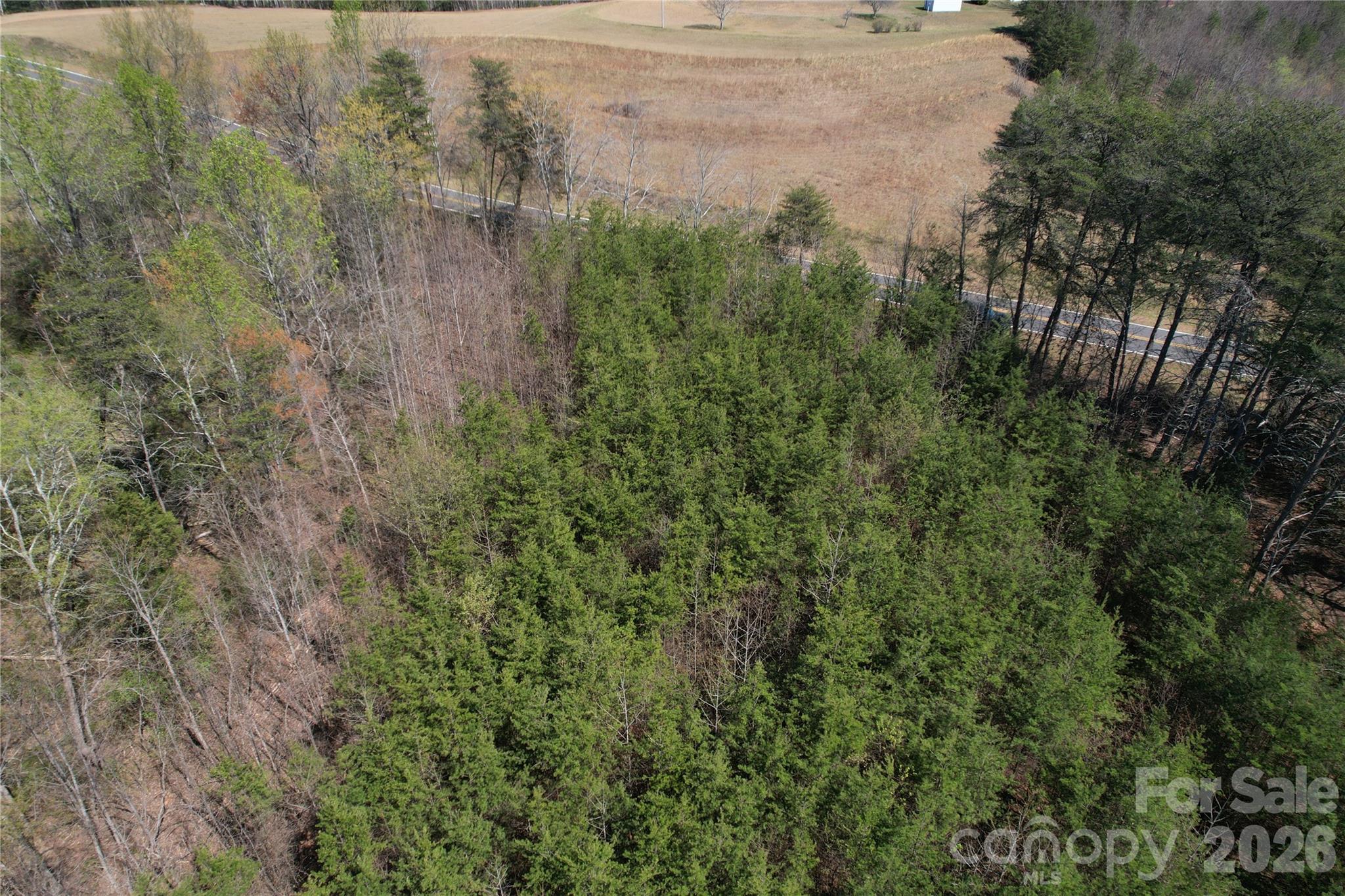 335 Woodrow Hoyle Road Property Photo 27