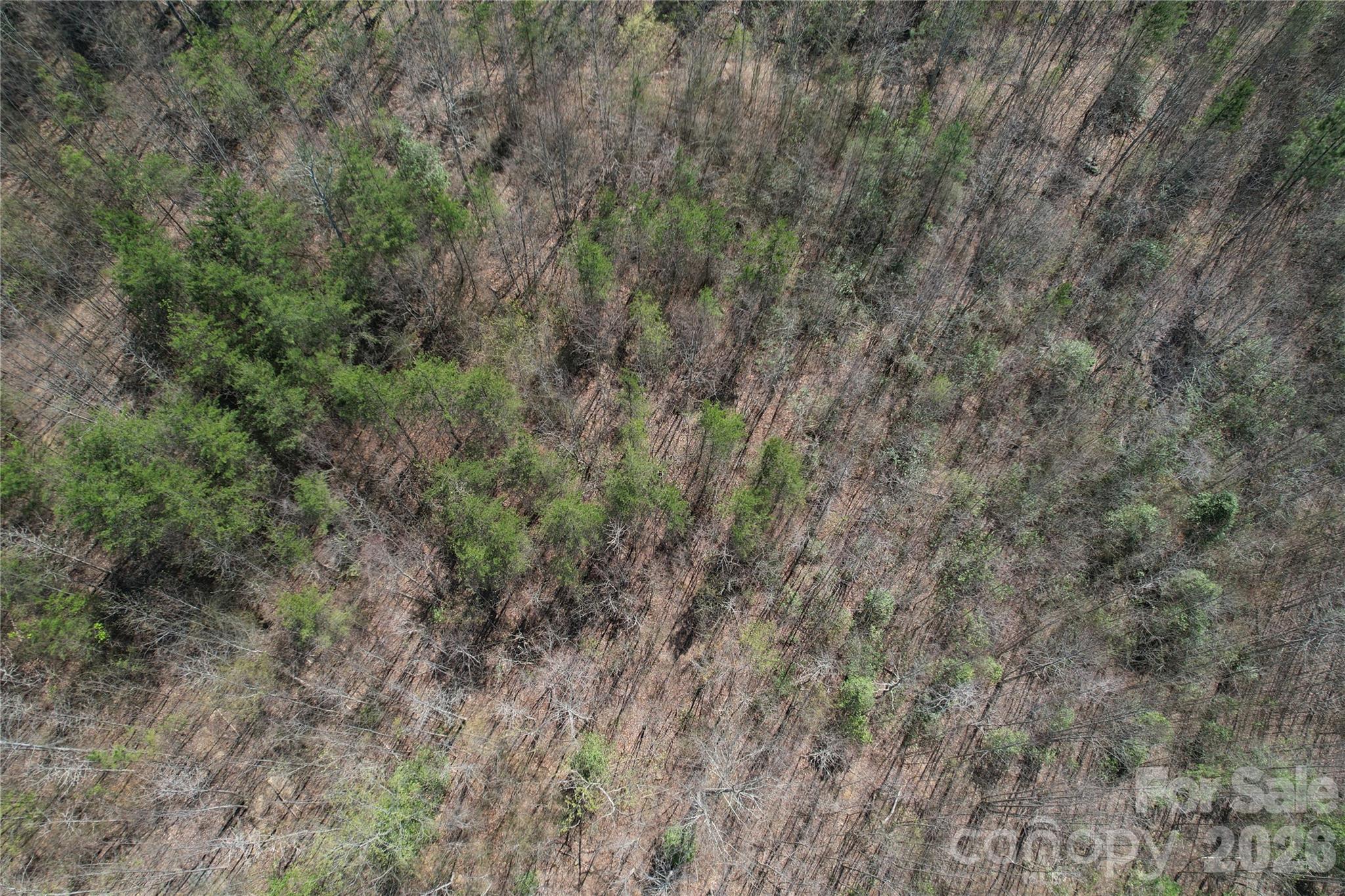335 Woodrow Hoyle Road Property Photo 29
