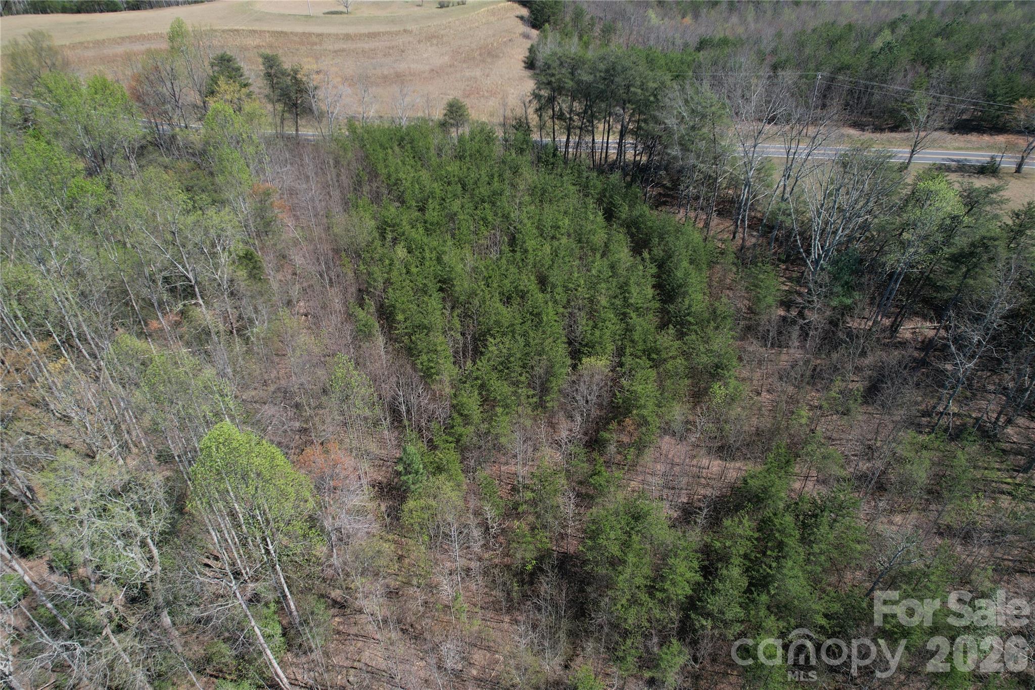 335 Woodrow Hoyle Road Property Photo 30