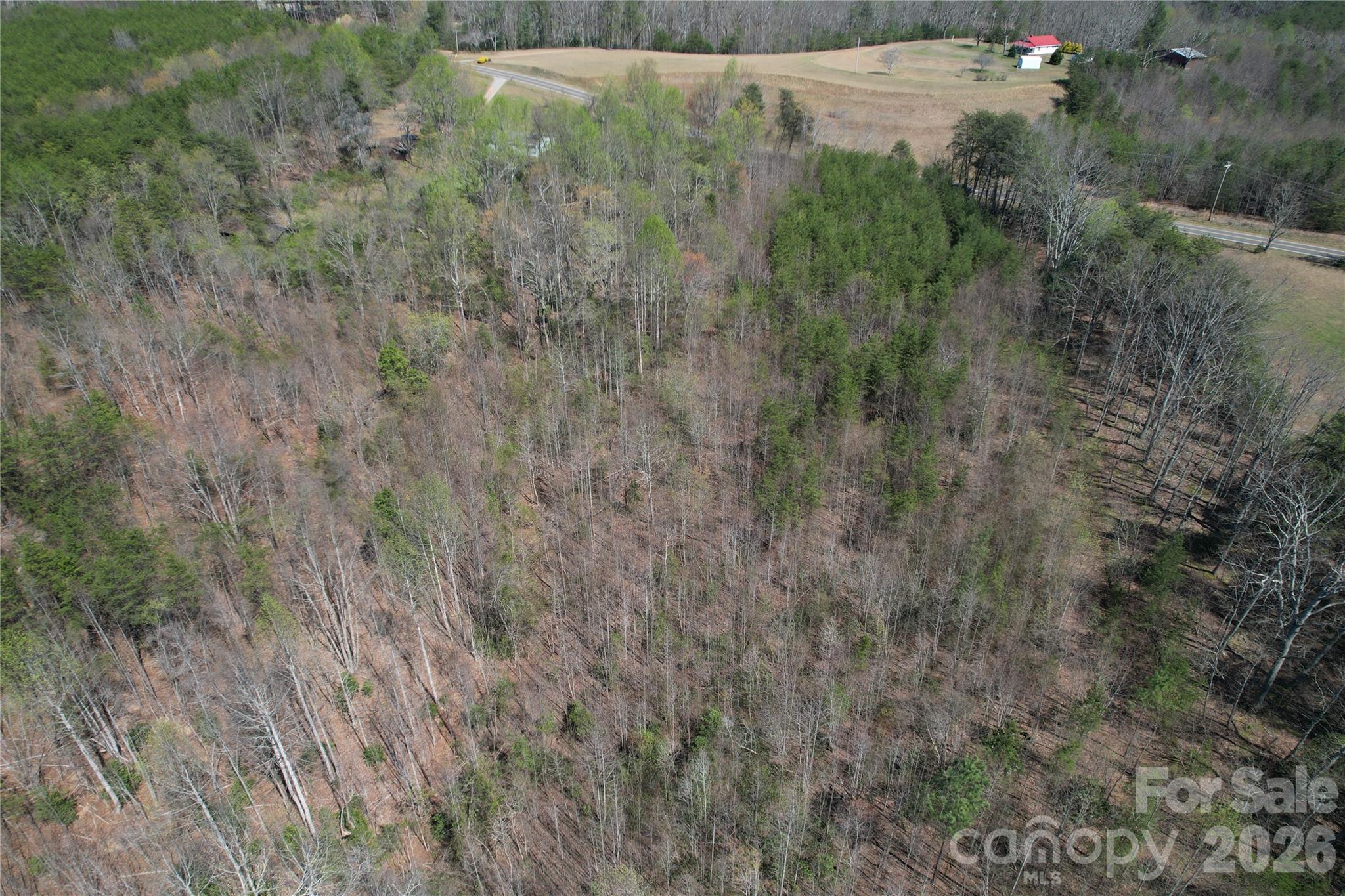 335 Woodrow Hoyle Road Property Photo 32