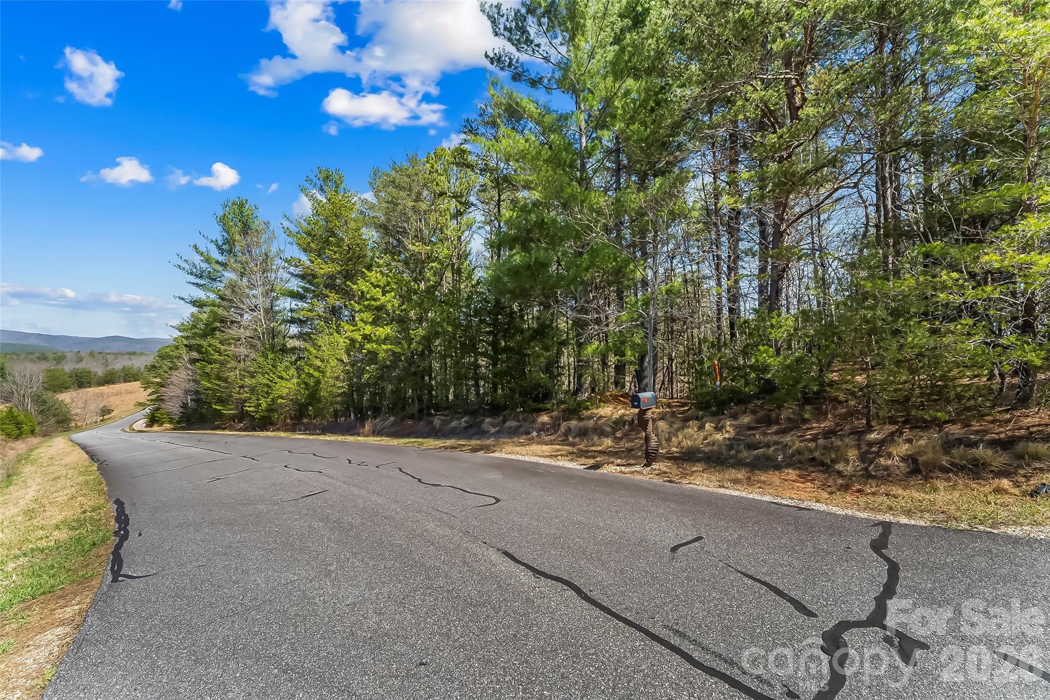121 Lake Crest Drive Lot 37 & 36 Property Photo 5