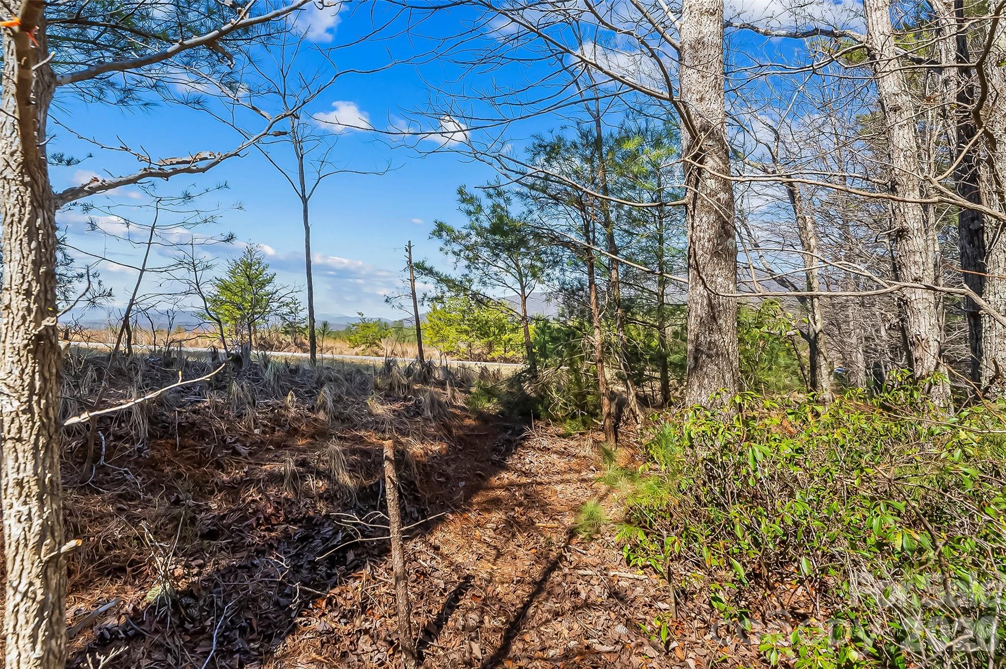 121 Lake Crest Drive Lot 37 & 36 Property Photo 7
