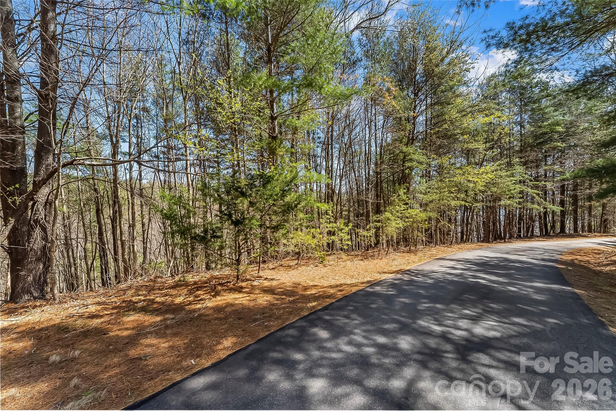 121 Lake Crest Drive Lot 37 & 36 Property Photo 14