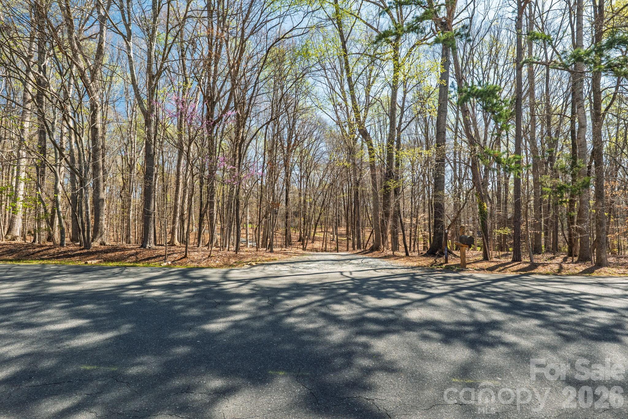 801 Reverdy Lane Property Photo 6