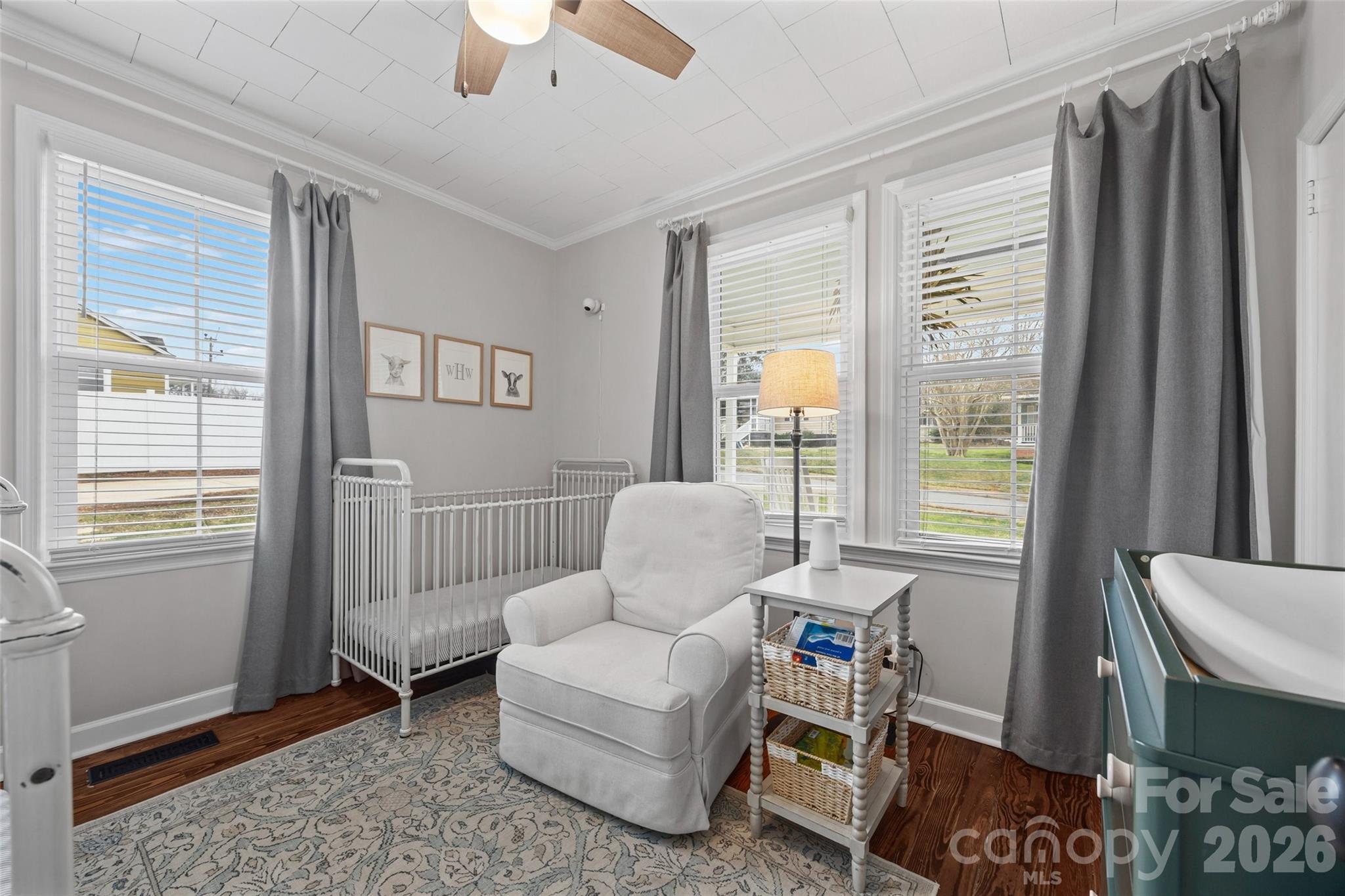 411 Williamson Street Property Photo 7