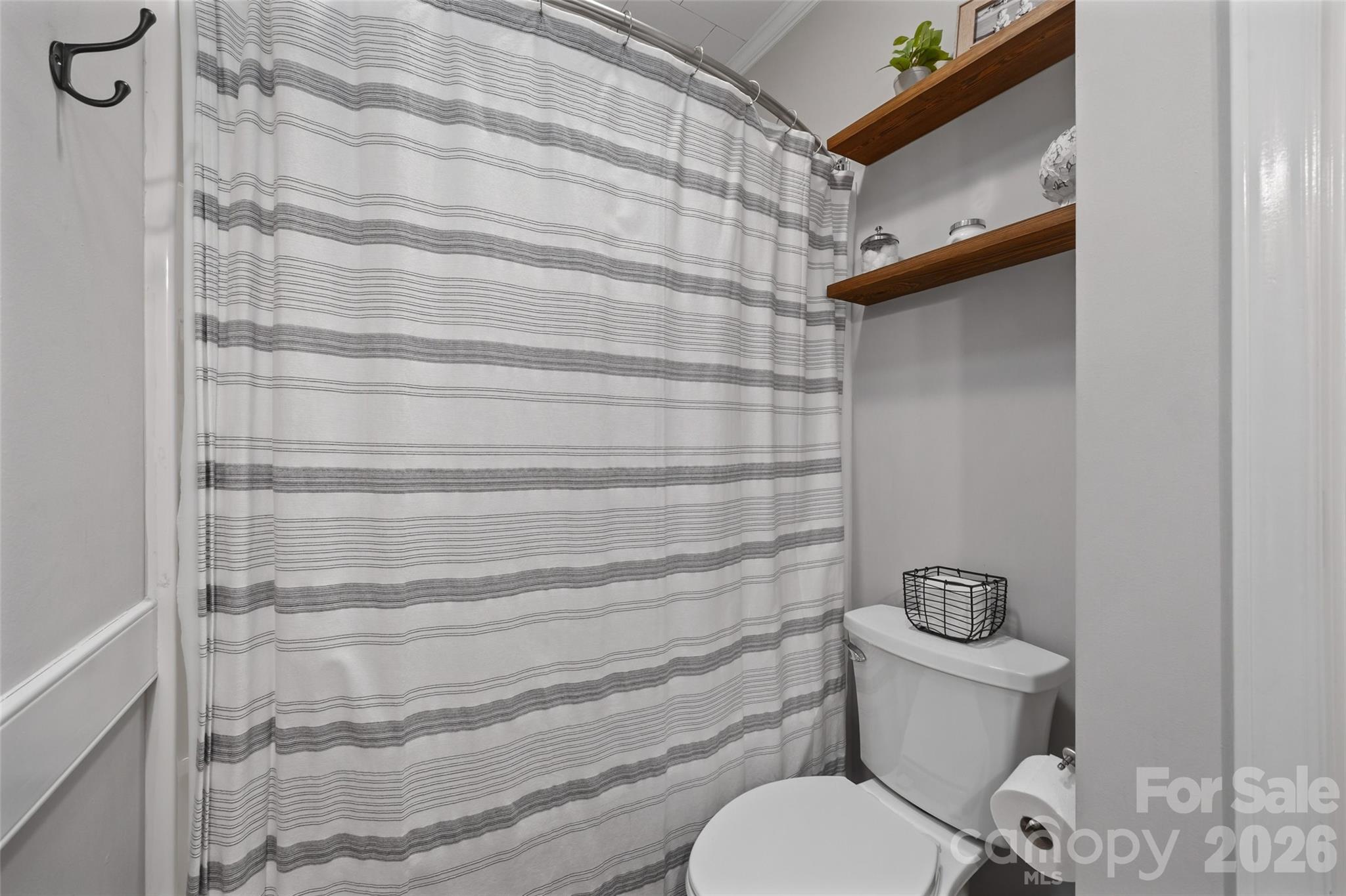 411 Williamson Street Property Photo 10