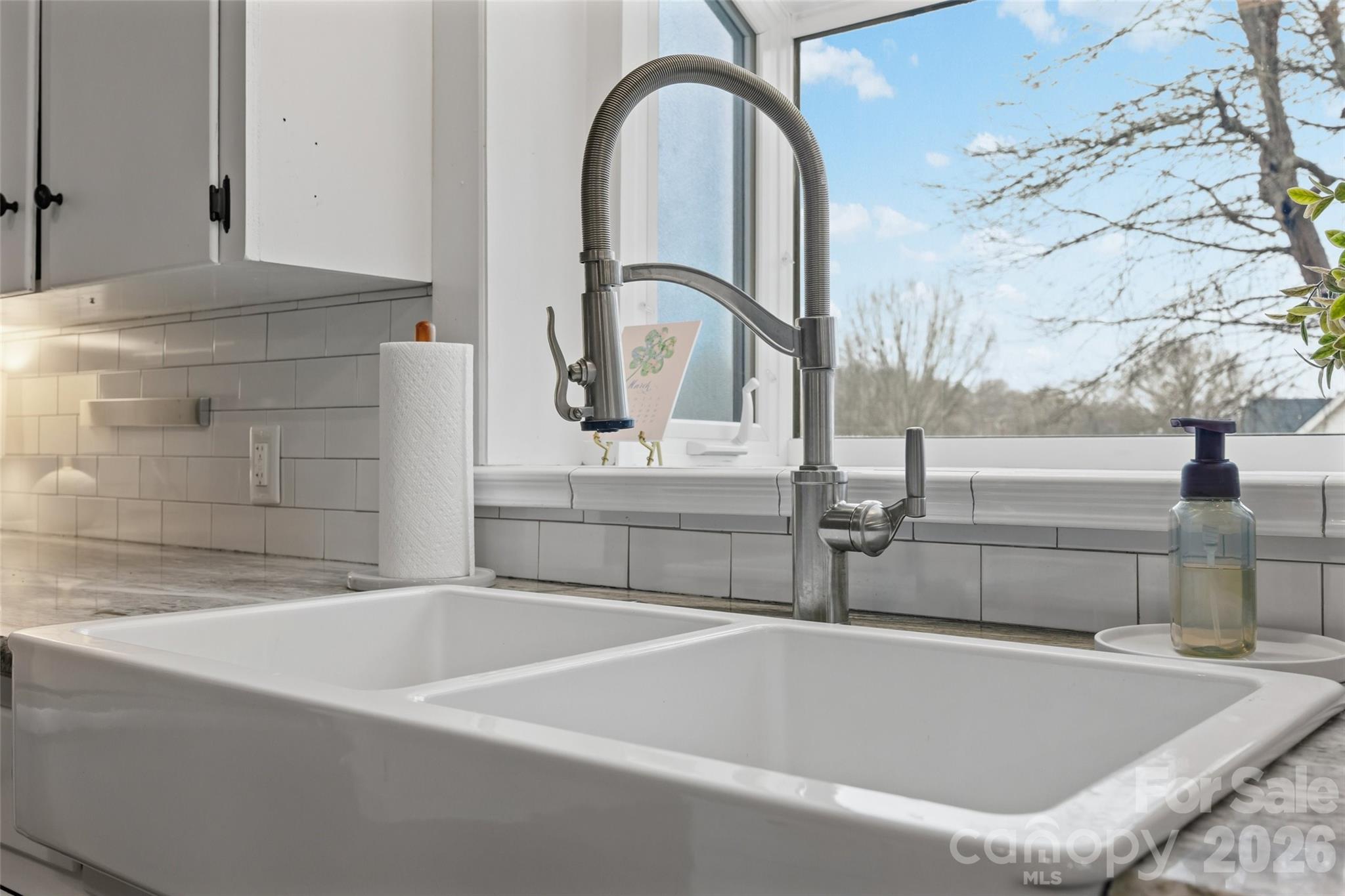 411 Williamson Street Property Photo 16