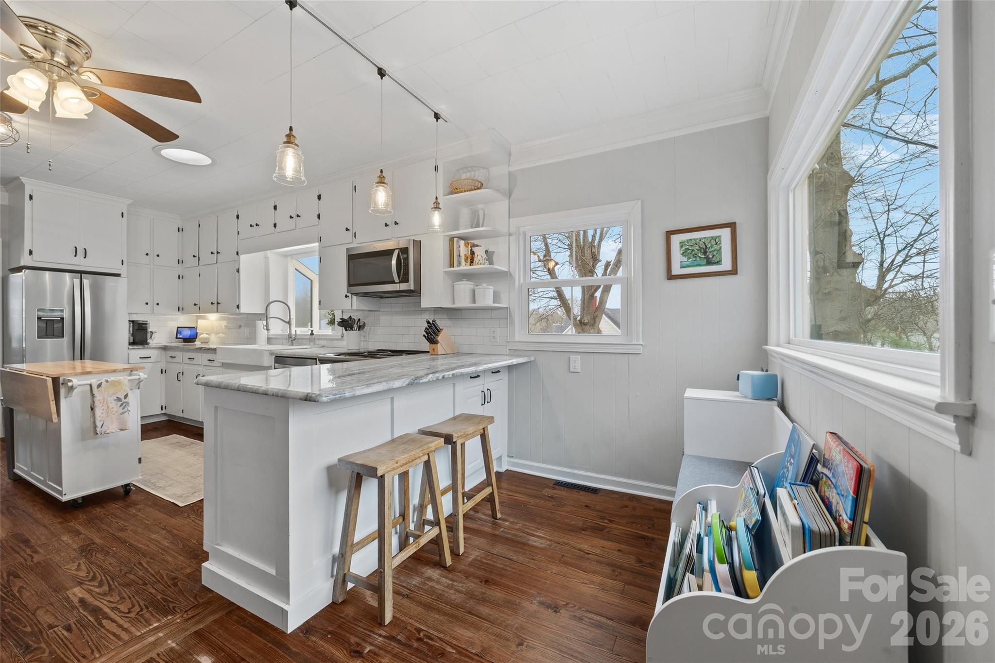 411 Williamson Street Property Photo 17
