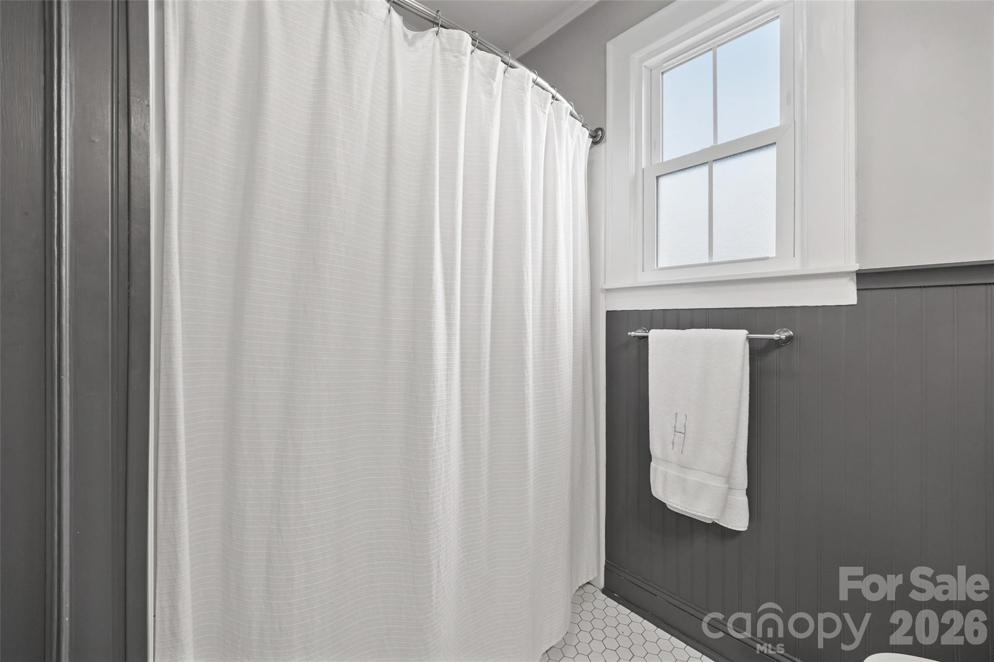 411 Williamson Street Property Photo 21