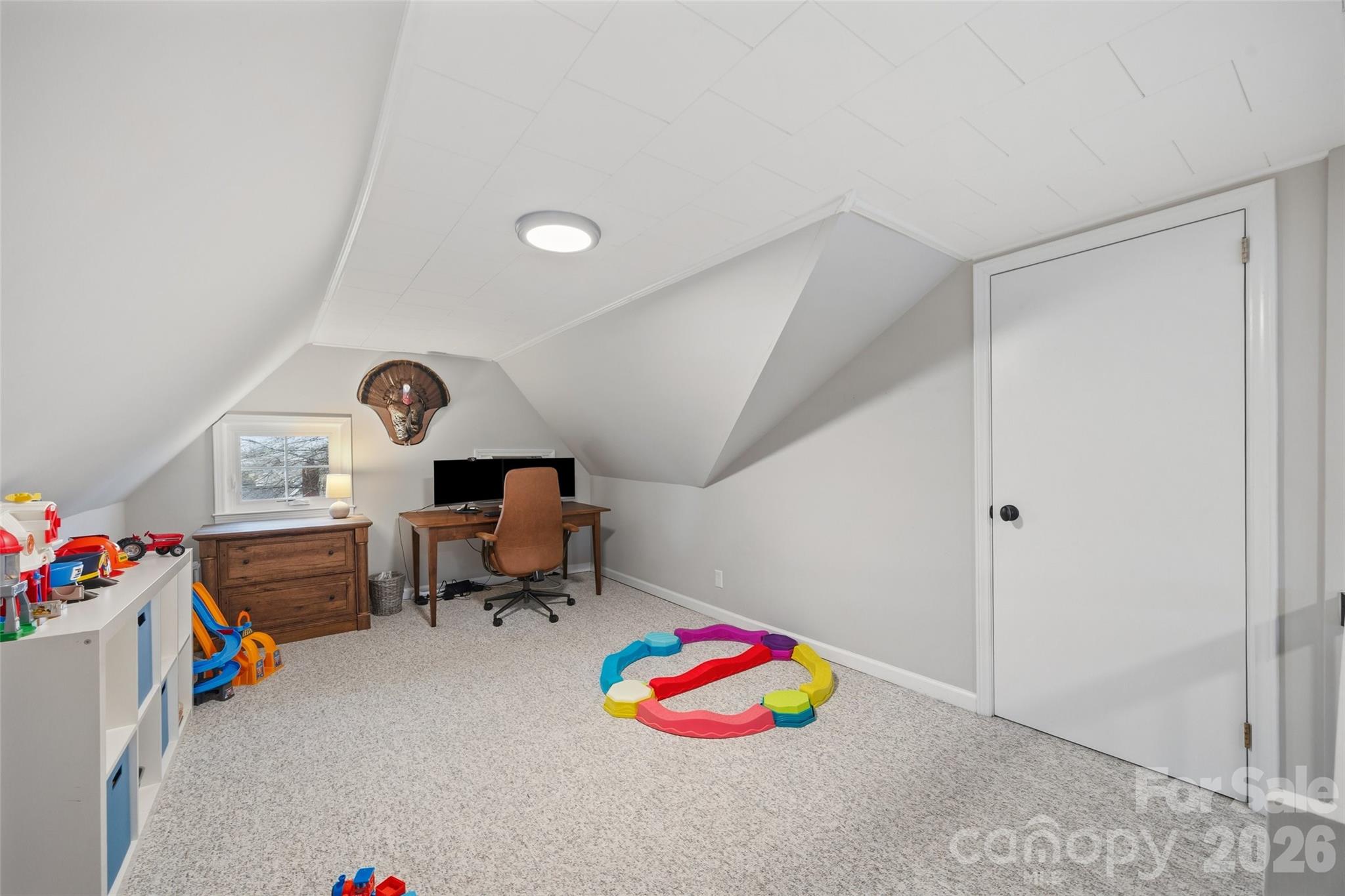 411 Williamson Street Property Photo 22