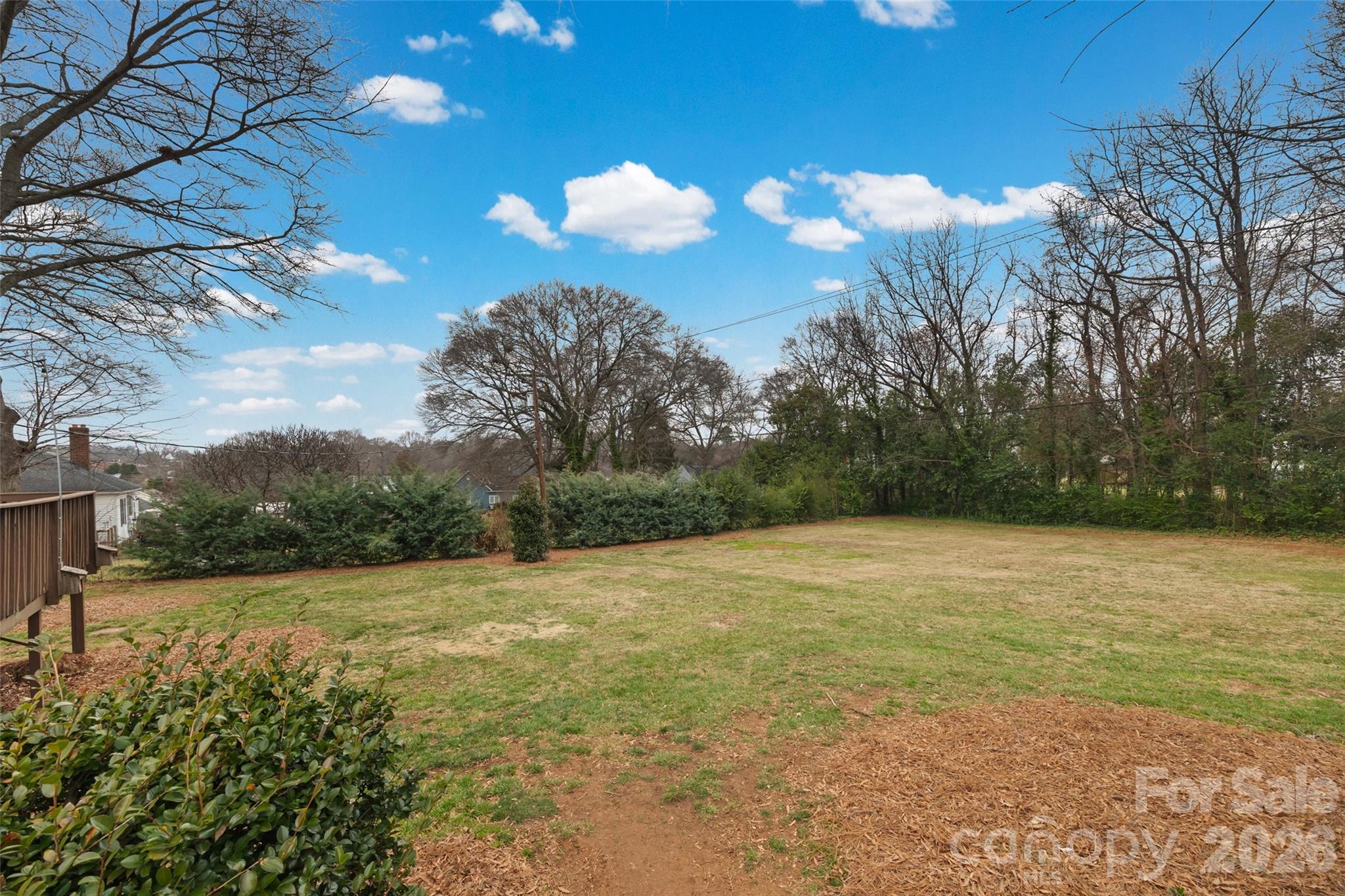 411 Williamson Street Property Photo 29