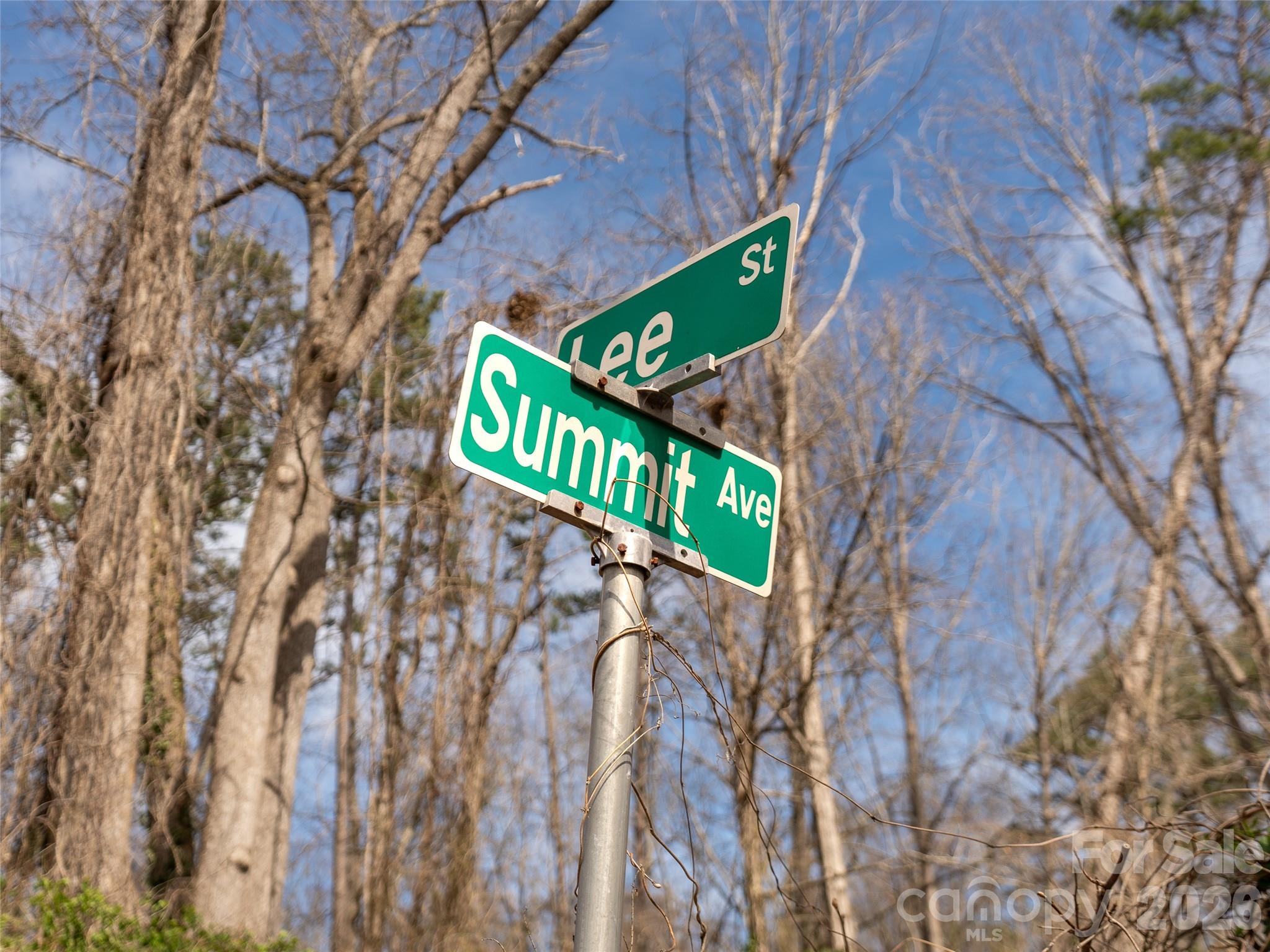99999 Summit Avenue A & B Property Photo 8