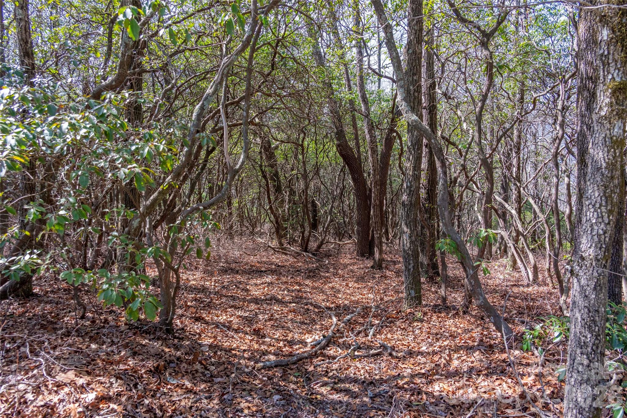 Lot 14 Lakeside Drive Property Photo 1