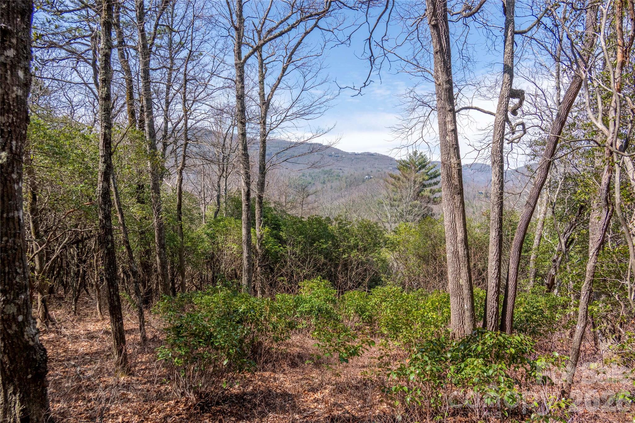Lot 14 Lakeside Drive Property Photo 2