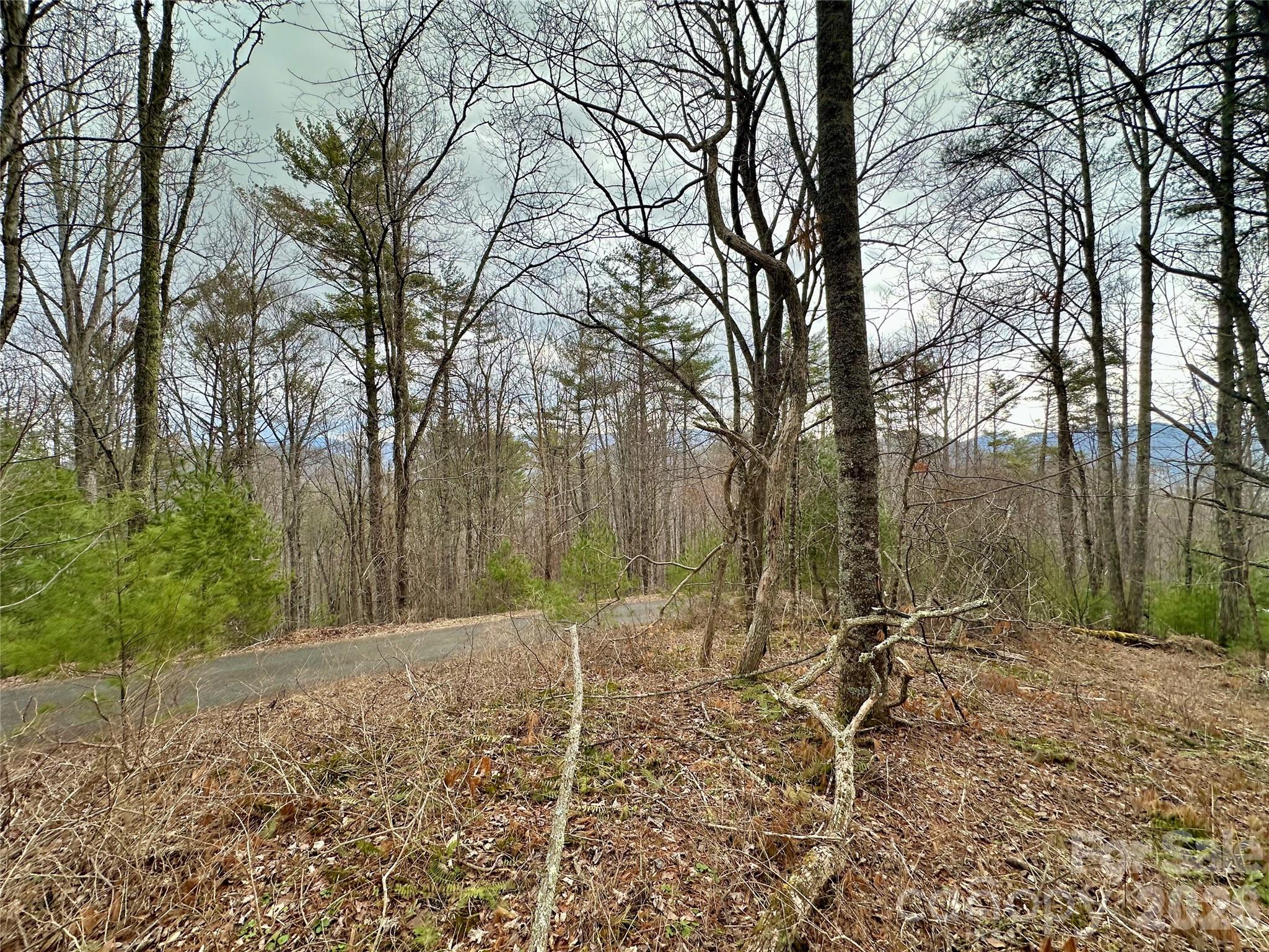 Tbd Mantera Ridge Property Photo 4
