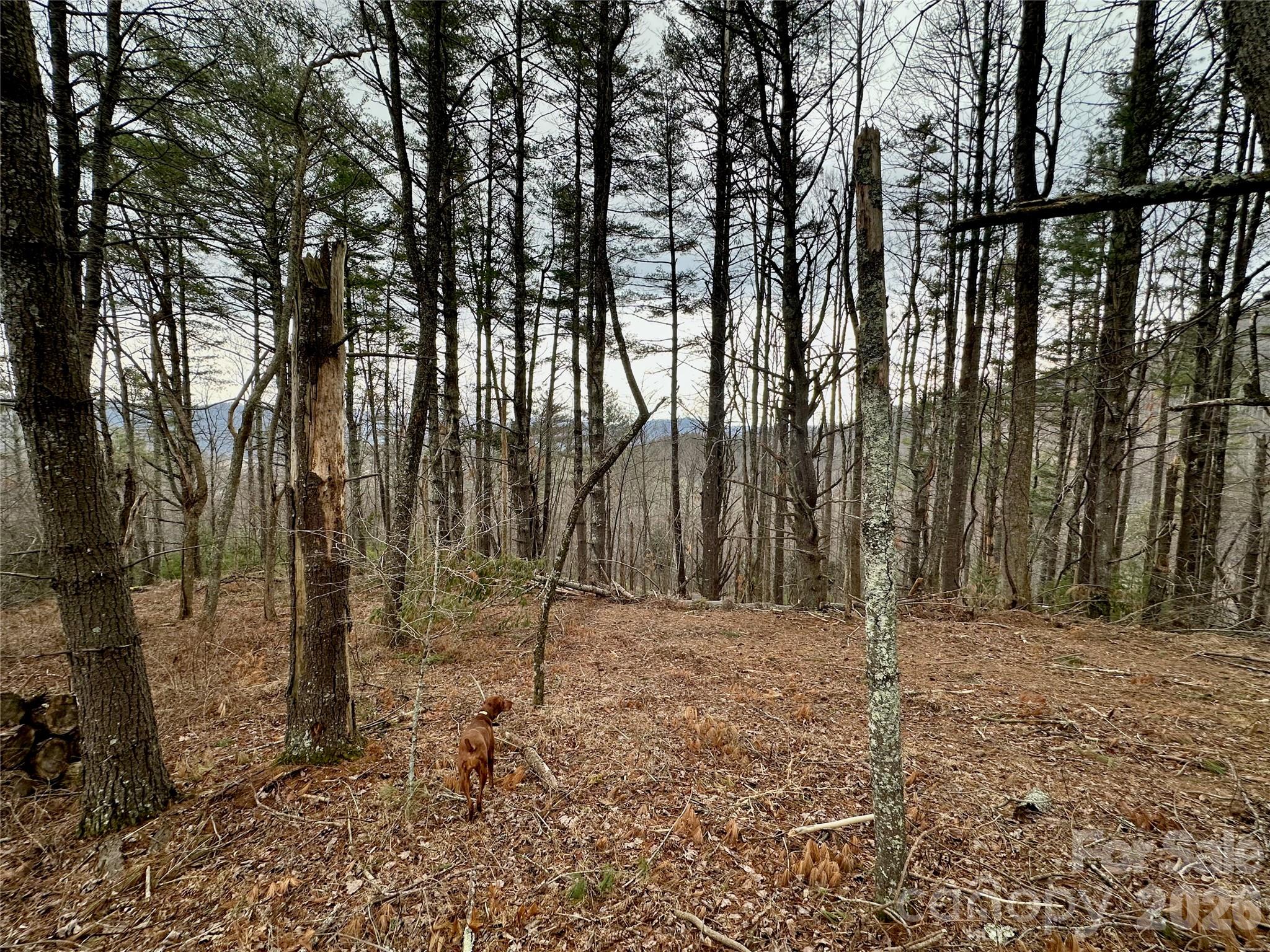 Tbd Mantera Ridge Property Photo 5