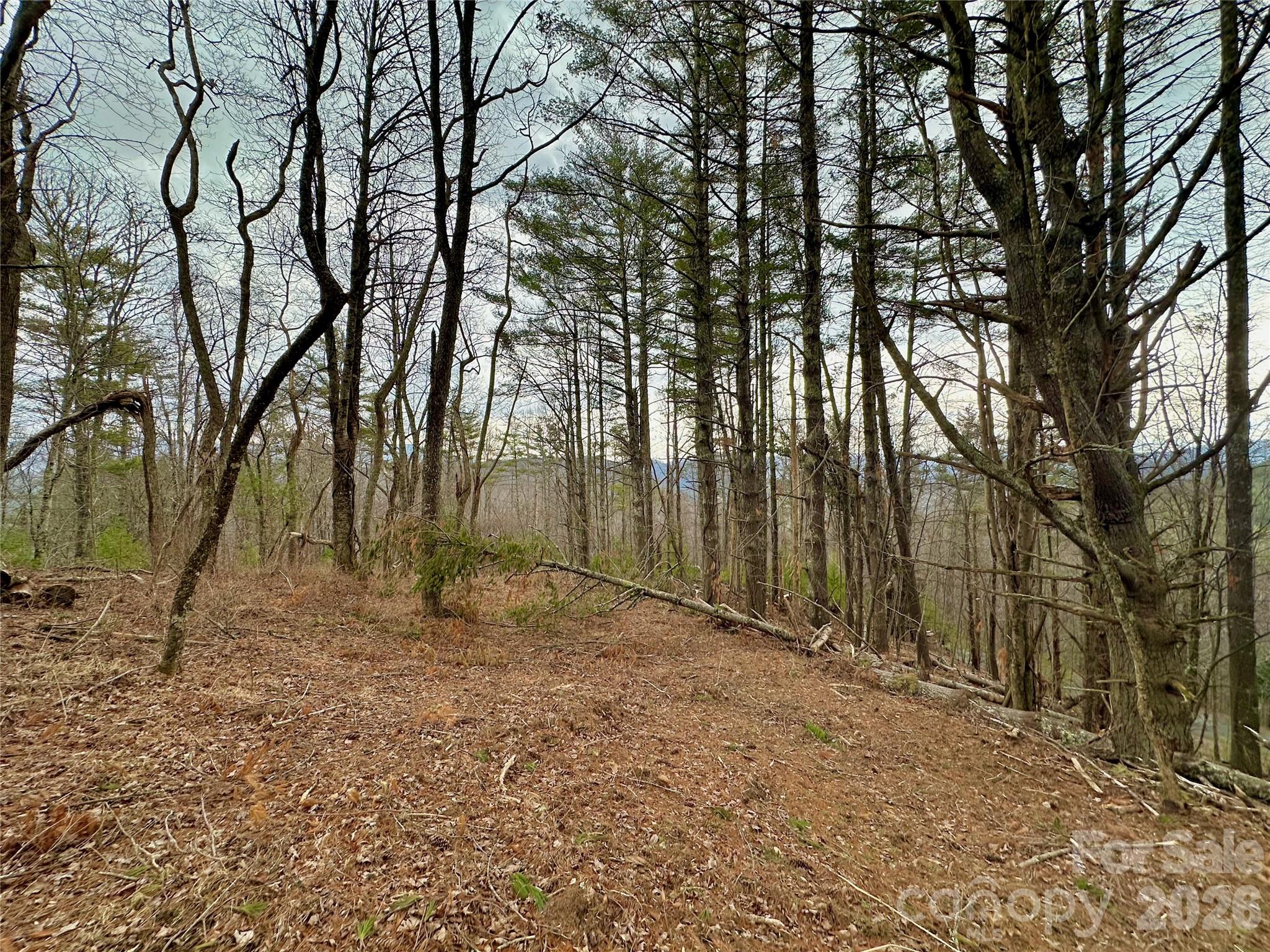 Tbd Mantera Ridge Property Photo 6