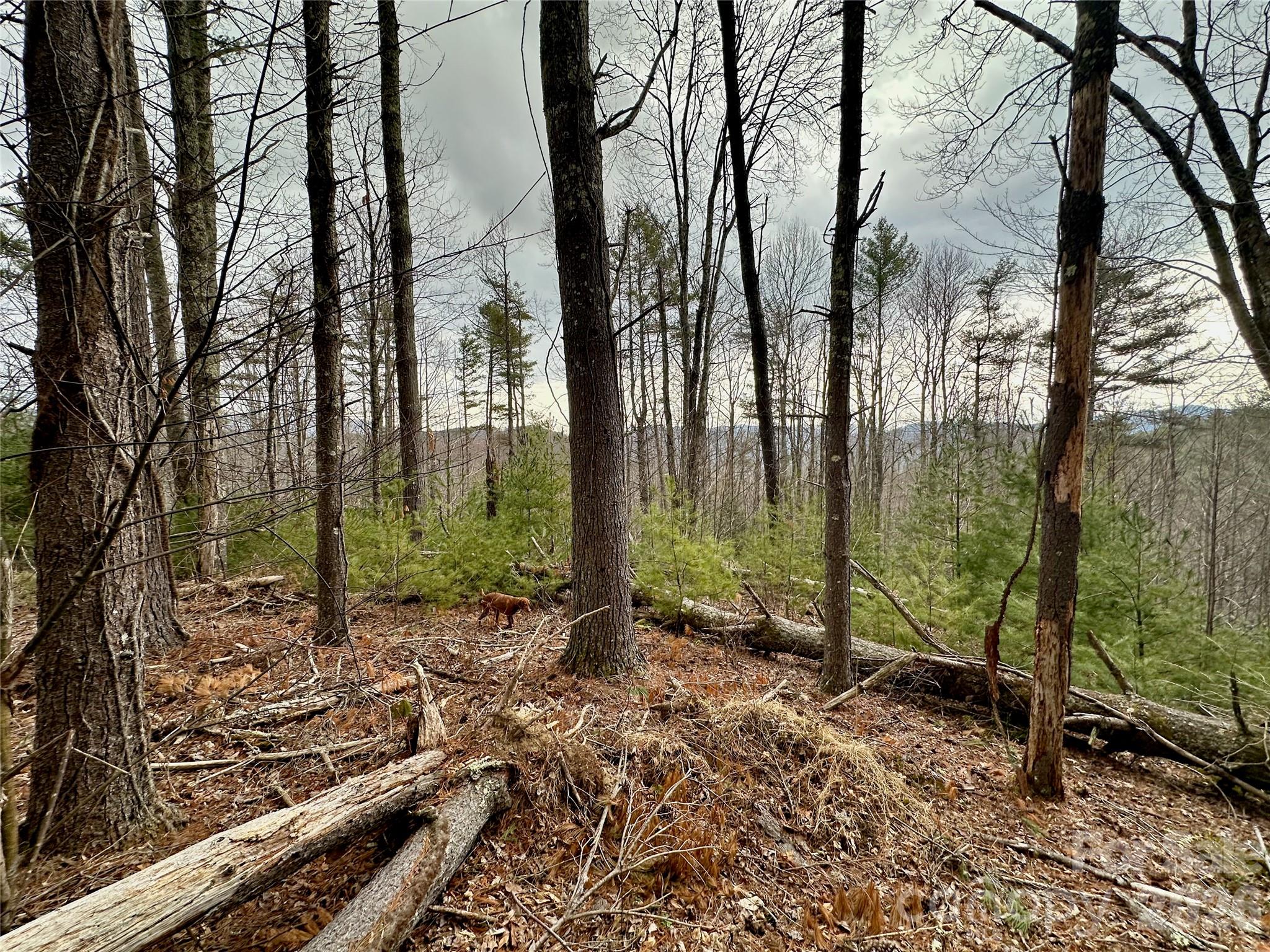Tbd Mantera Ridge Property Photo 8