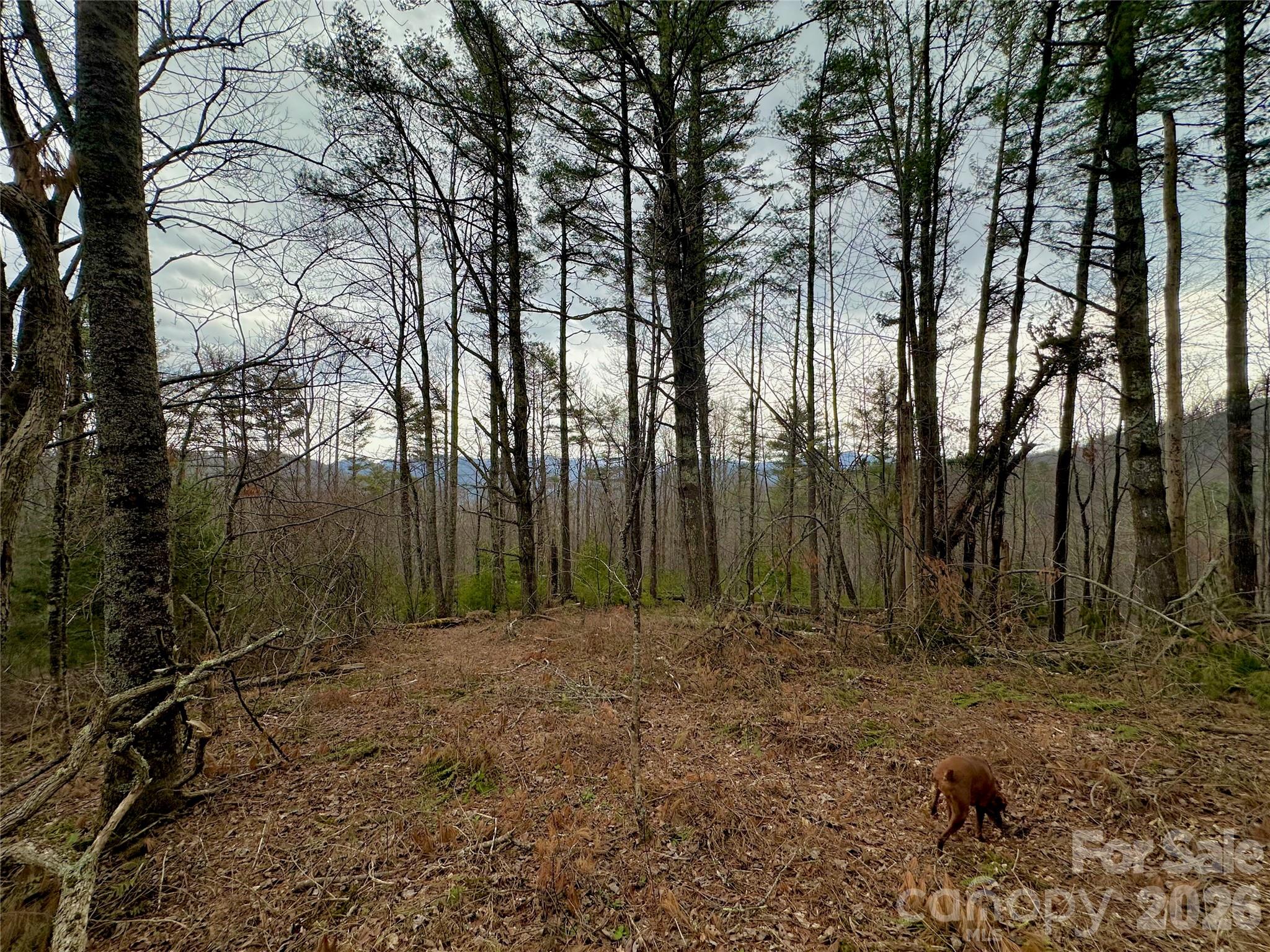 Tbd Mantera Ridge Property Photo 9