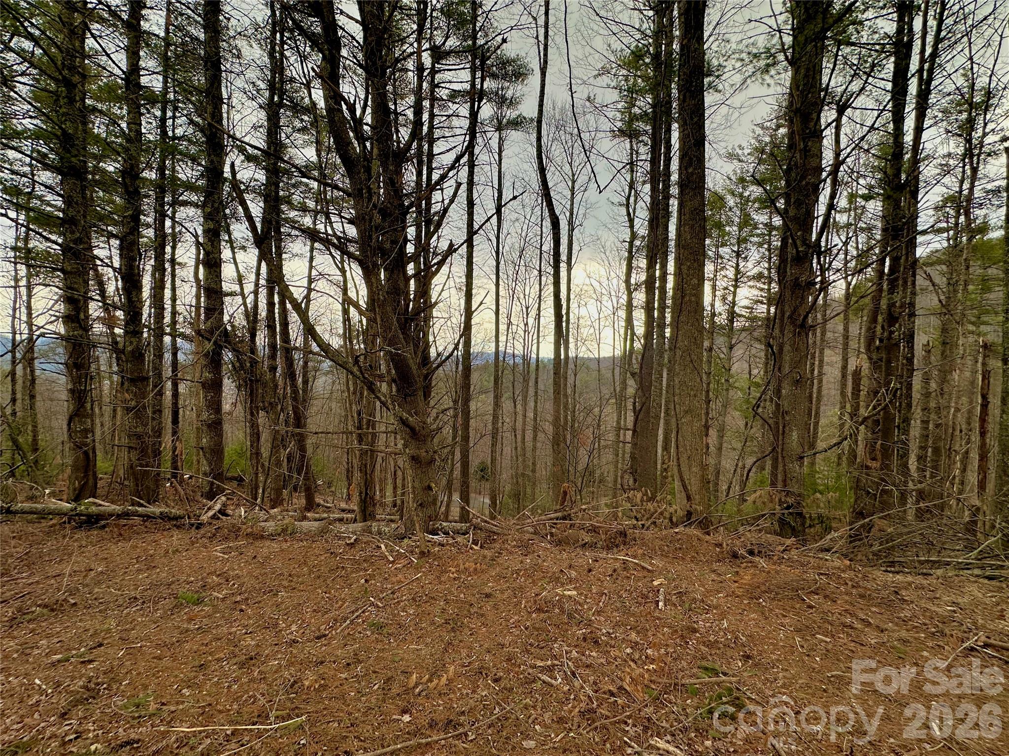 Tbd Mantera Ridge Property Photo 10