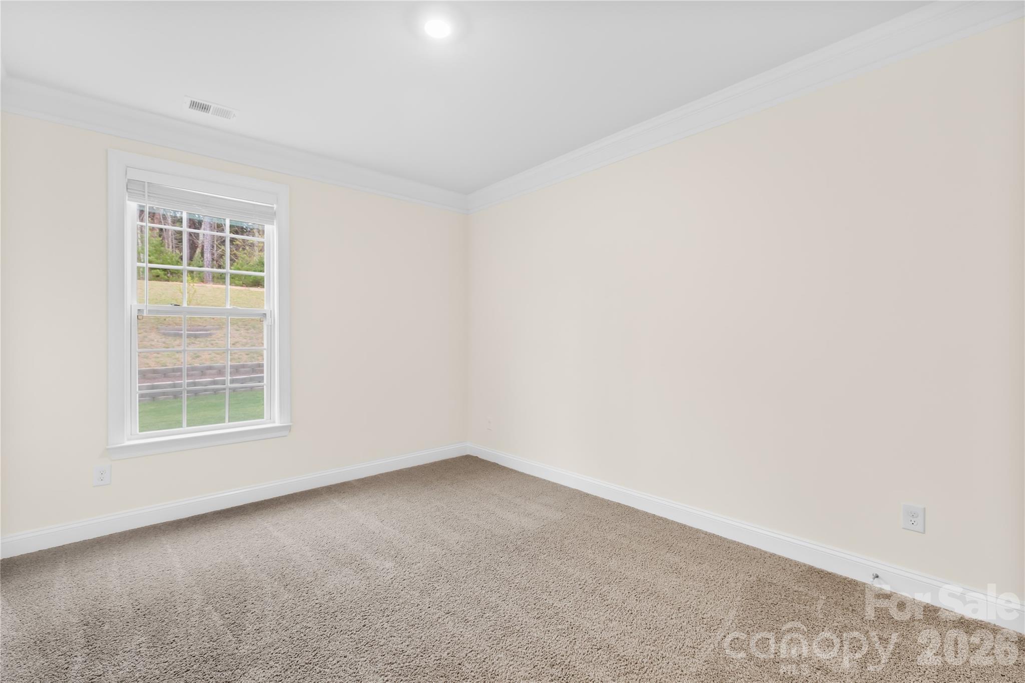 4539 Plicata Drive Property Photo 19