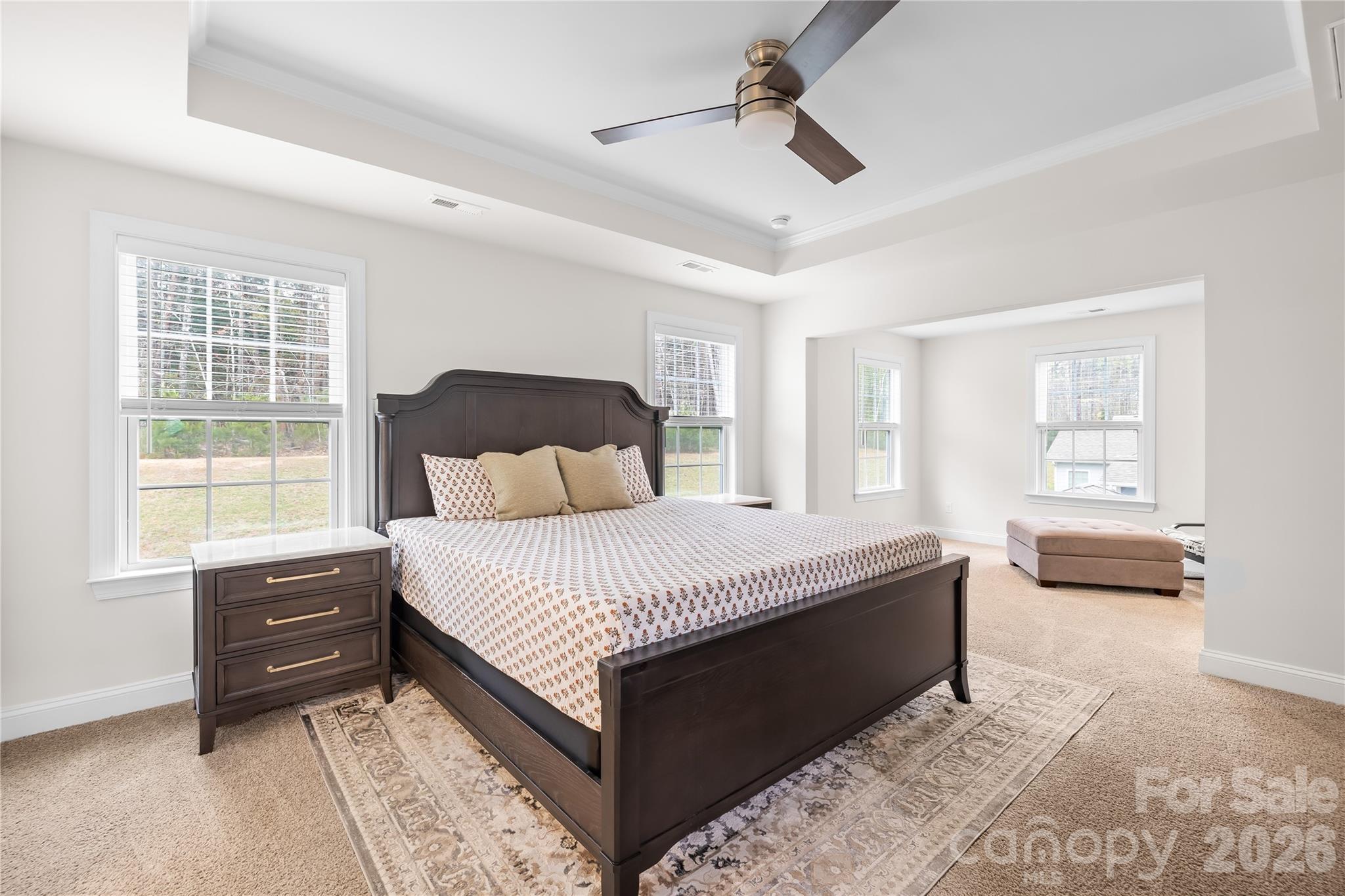 4539 Plicata Drive Property Photo 22