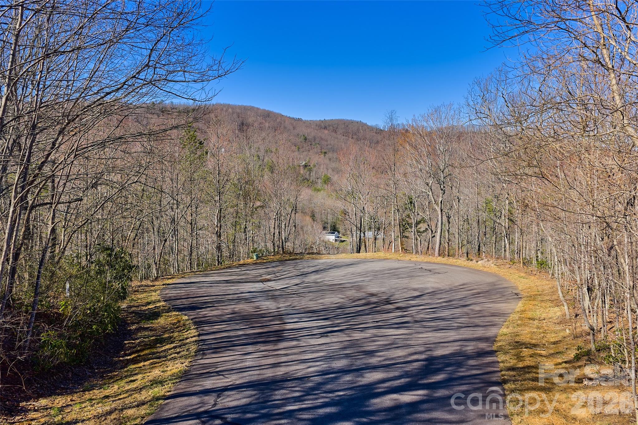 459/461 Feather Falls Trail Property Photo 4