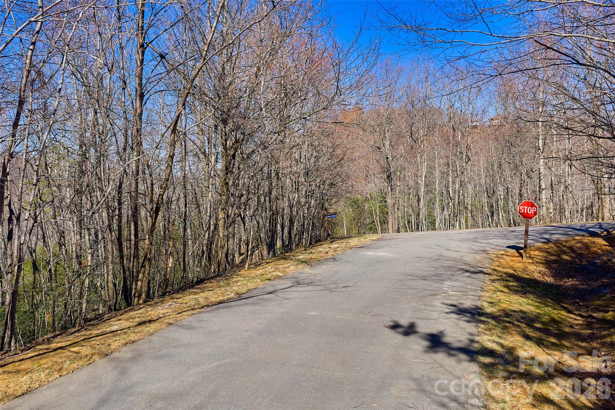 459/461 Feather Falls Trail Property Photo 5