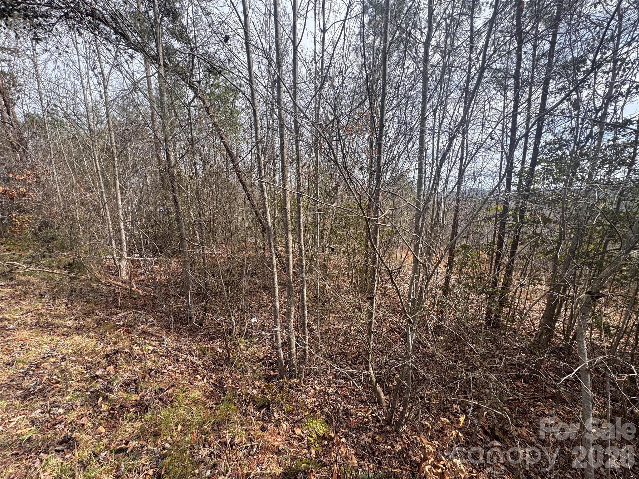 00 Billings Hill Church Road 56 Property Photo 2