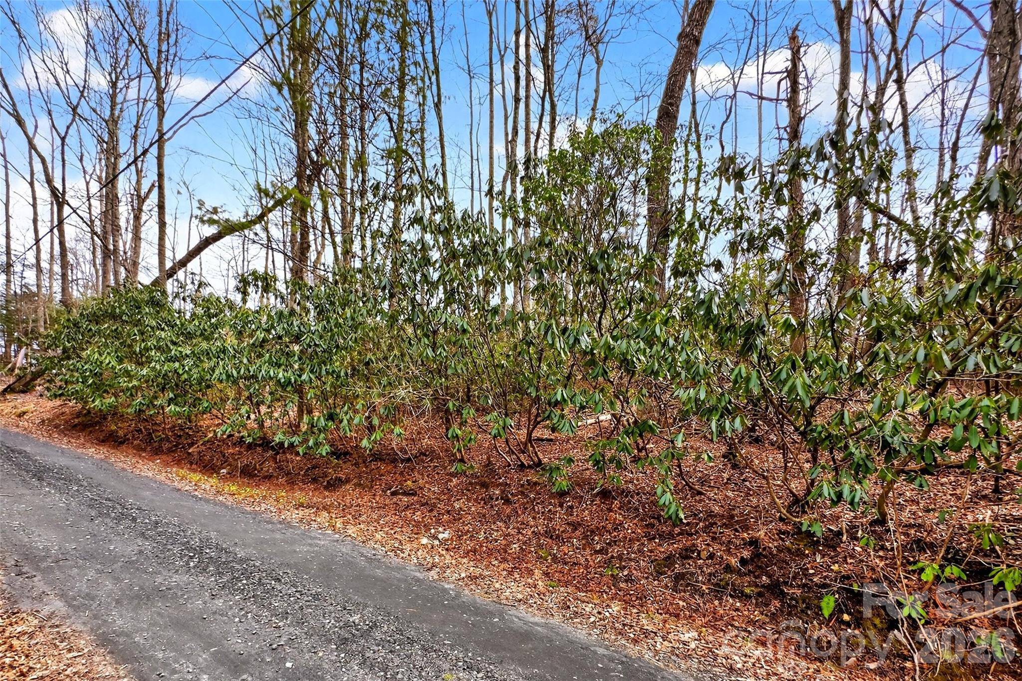 Tbd Red Bird Road Property Photo 1