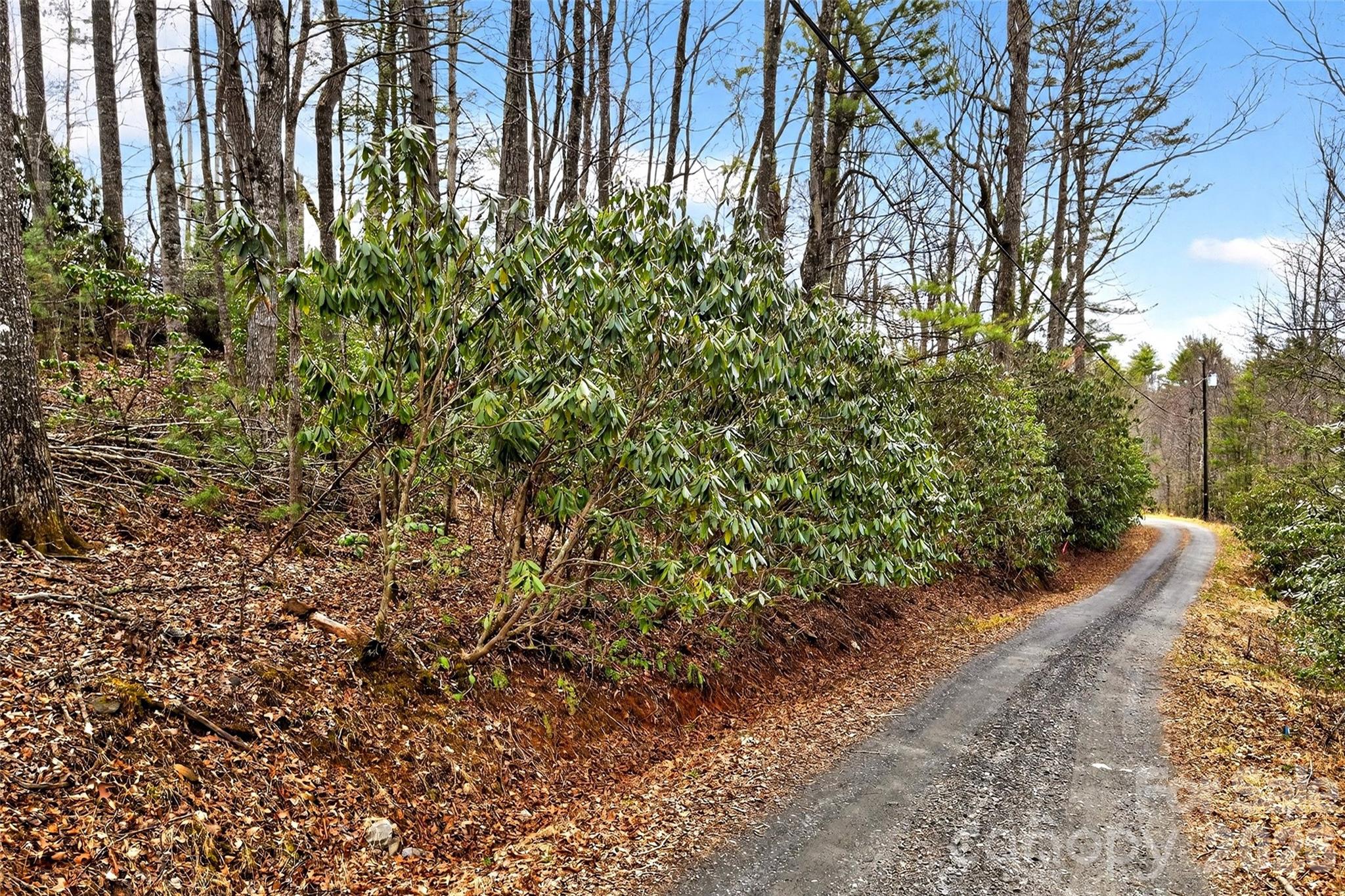 Tbd Red Bird Road Property Photo 5