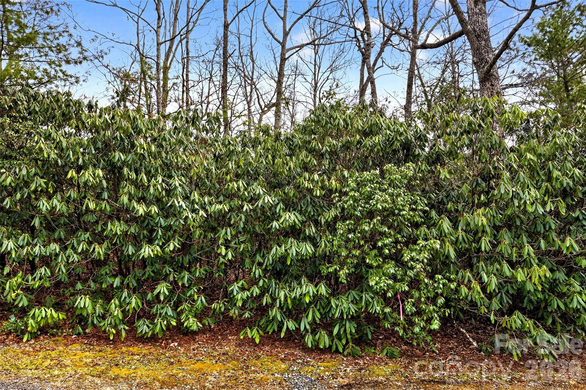 Tbd Red Bird Road Property Photo 6