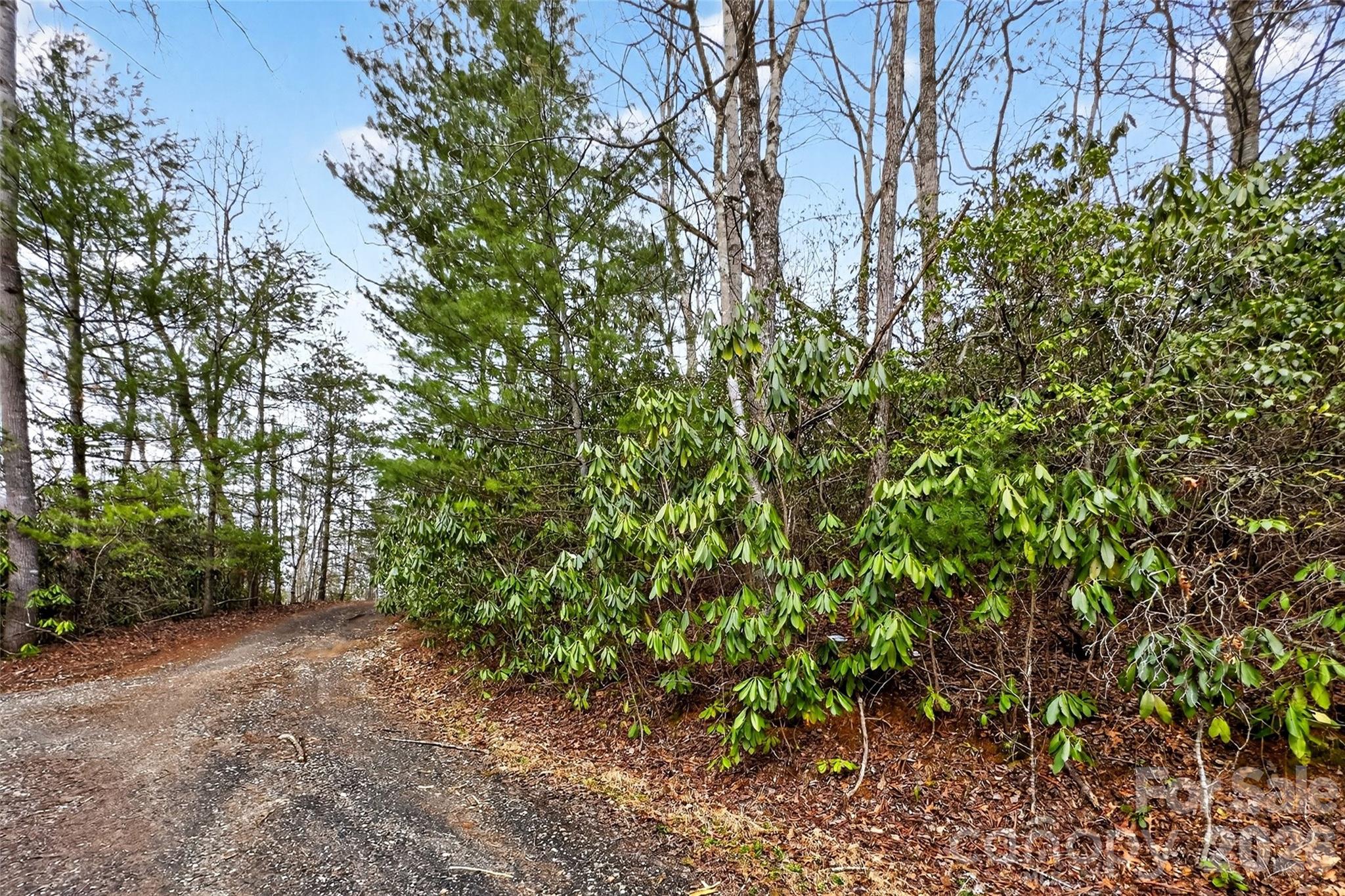 Tbd Red Bird Road Property Photo 7