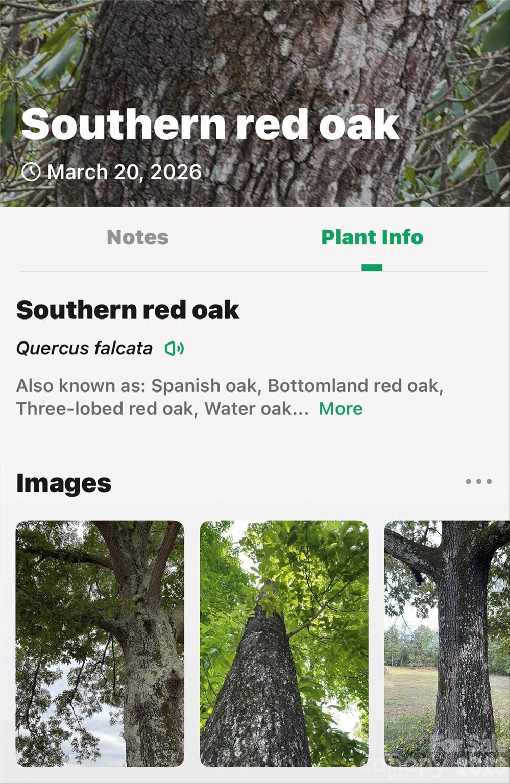 Tbd Red Bird Road Property Photo 15