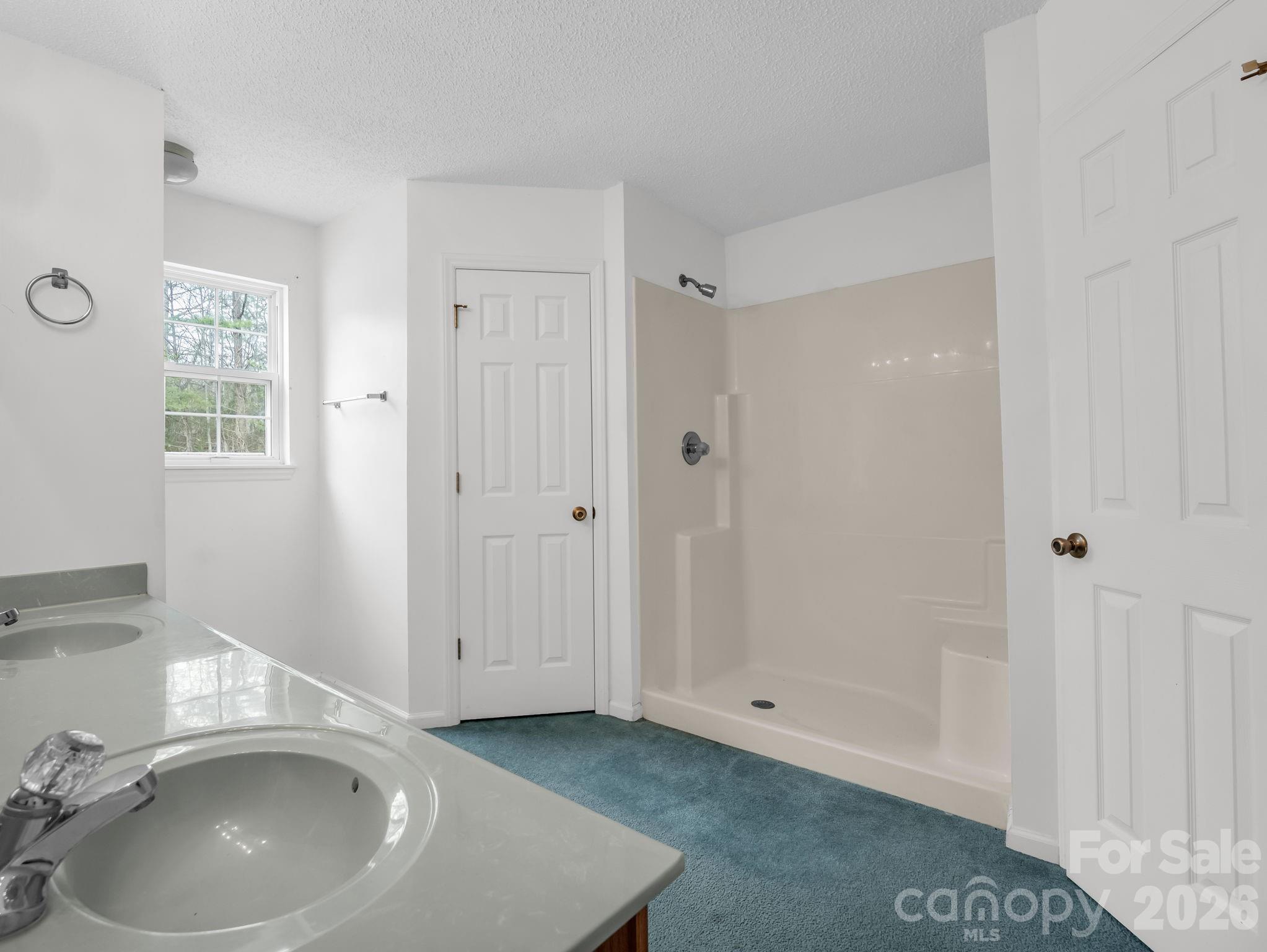 308 Frog Hollow Road Property Photo 19