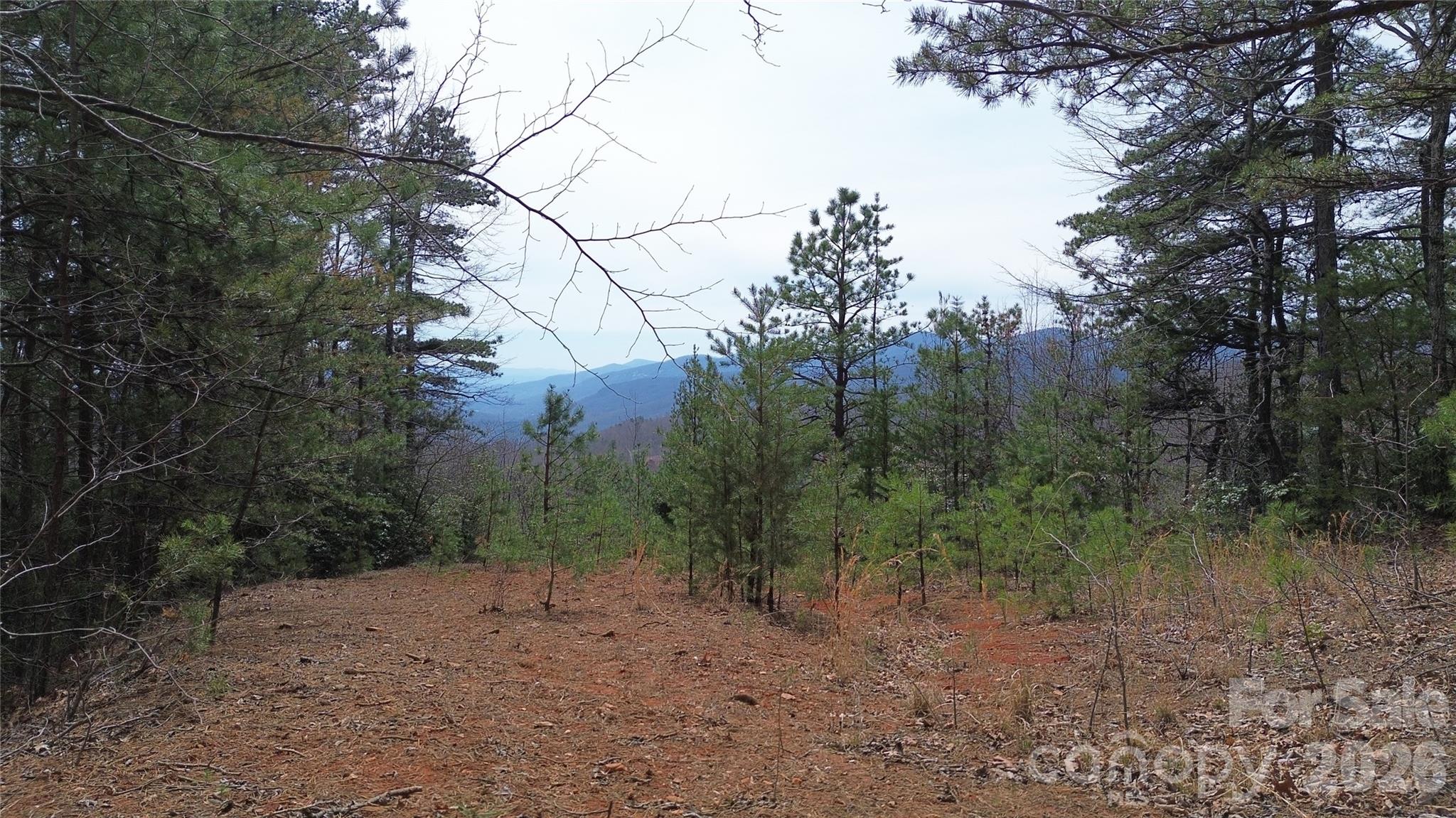 850 Harmonys Edge Drive 850 Property Photo 1